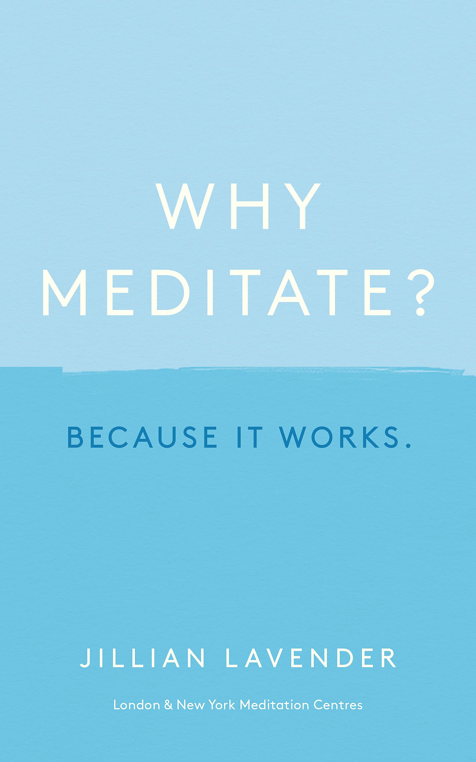 Why Meditate? Because It Works Medicine Books