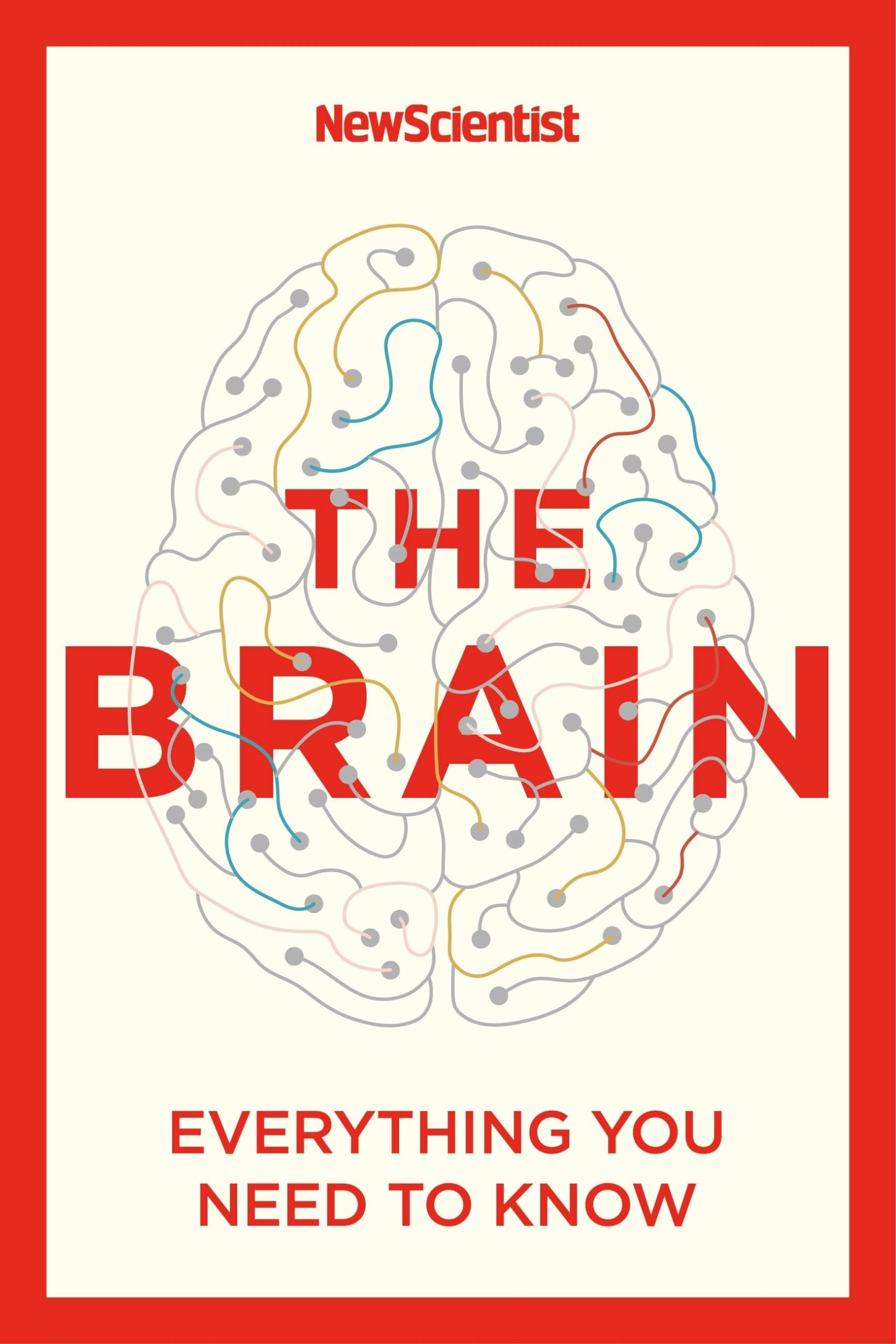 Product Image: The Brain: Everything You Need to Know