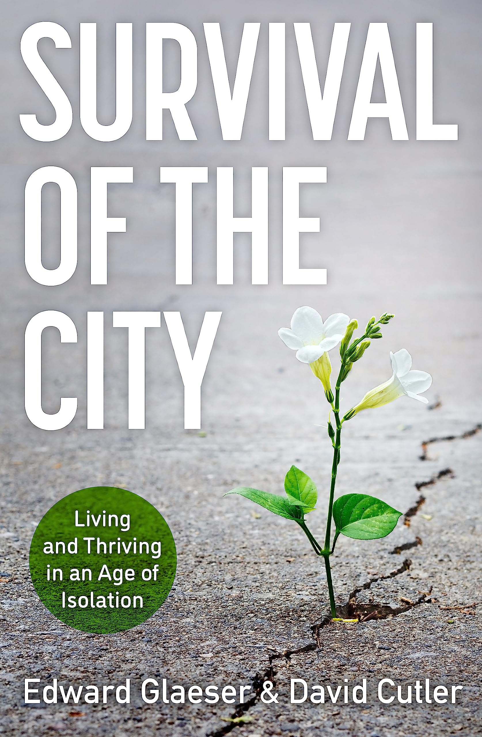 Survival of the City: Living and Thriving in an Age of Isolation Social Sciences