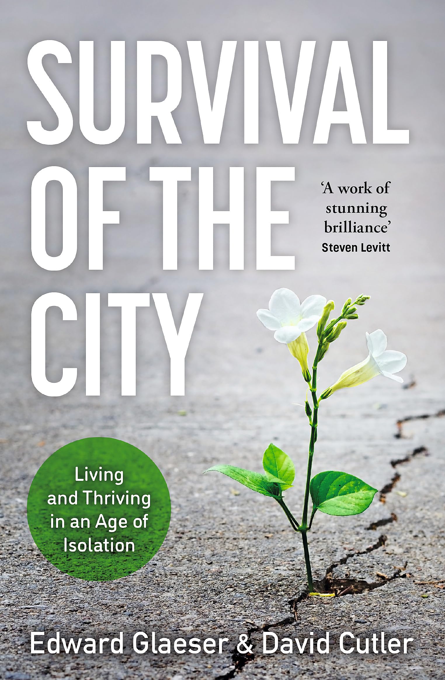 Survival of the City: Living and Thriving in an Age of Isolation Social Sciences