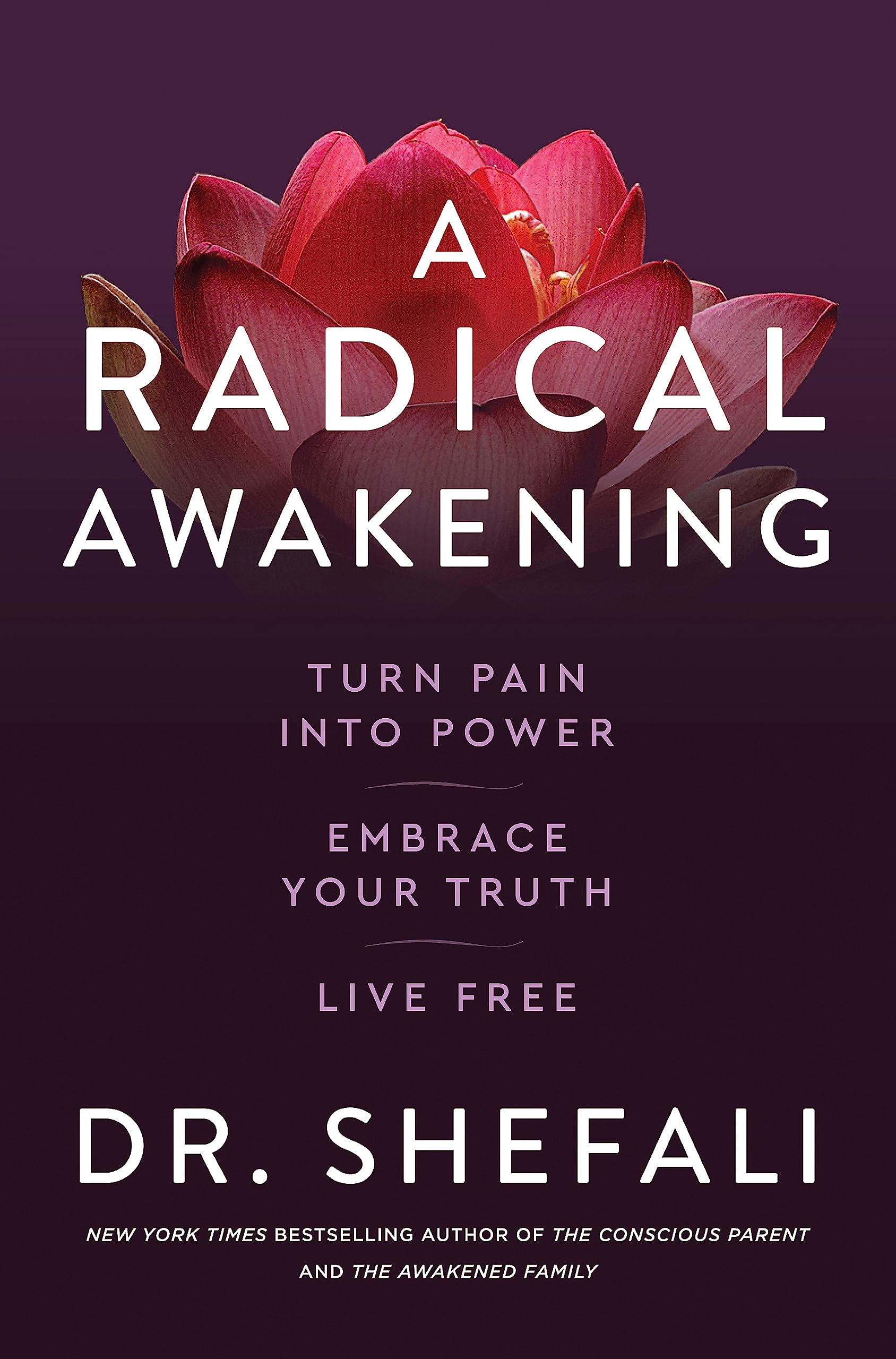 A Radical Awakening Social Sciences Books