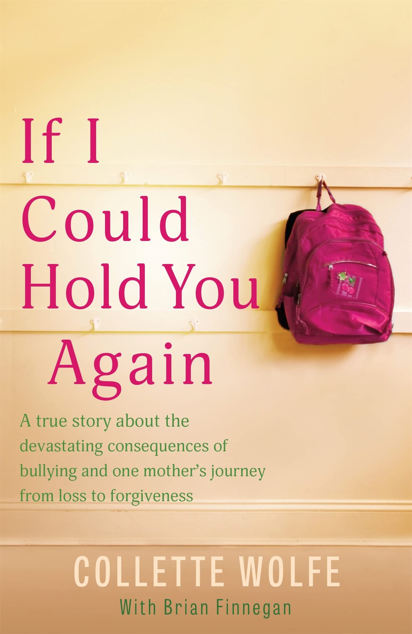 If I Could Hold You Again: A true story about the devastating consequences of bullying and how one mother's grief led her on a mission book