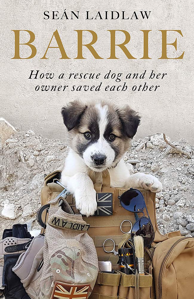 Barrie: How a rescue dog and her owner saved each other Memories