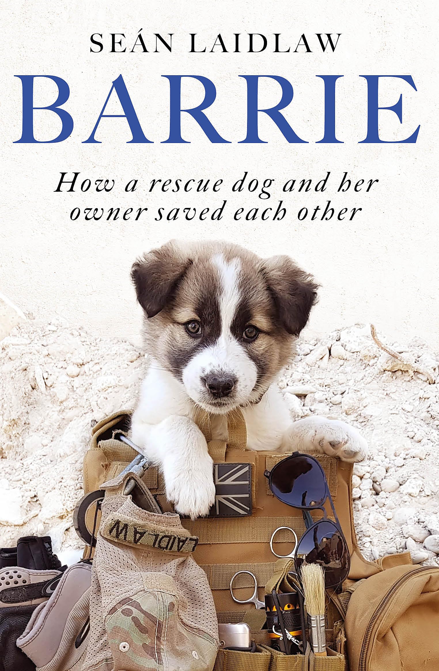 Barrie: How a rescue dog and her owner saved each other Memories