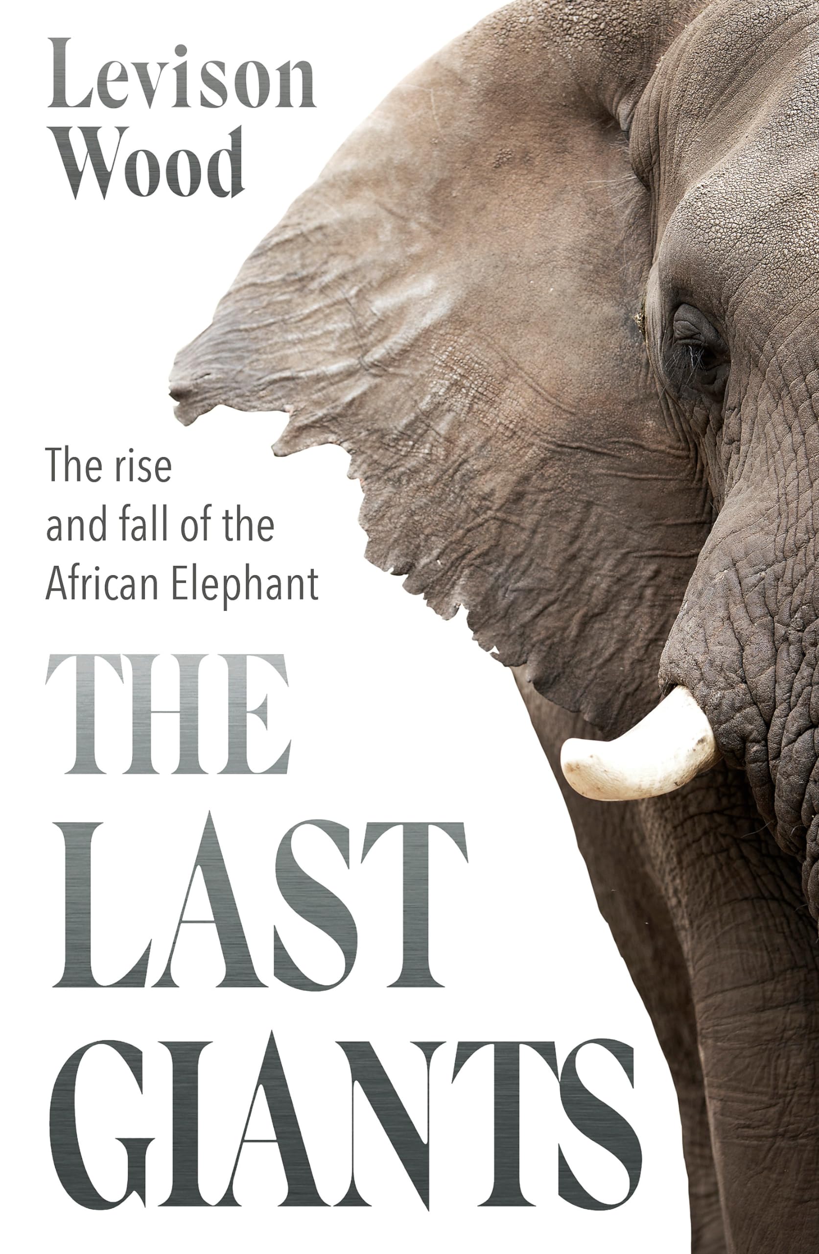 The Last Giants Mathematics Books