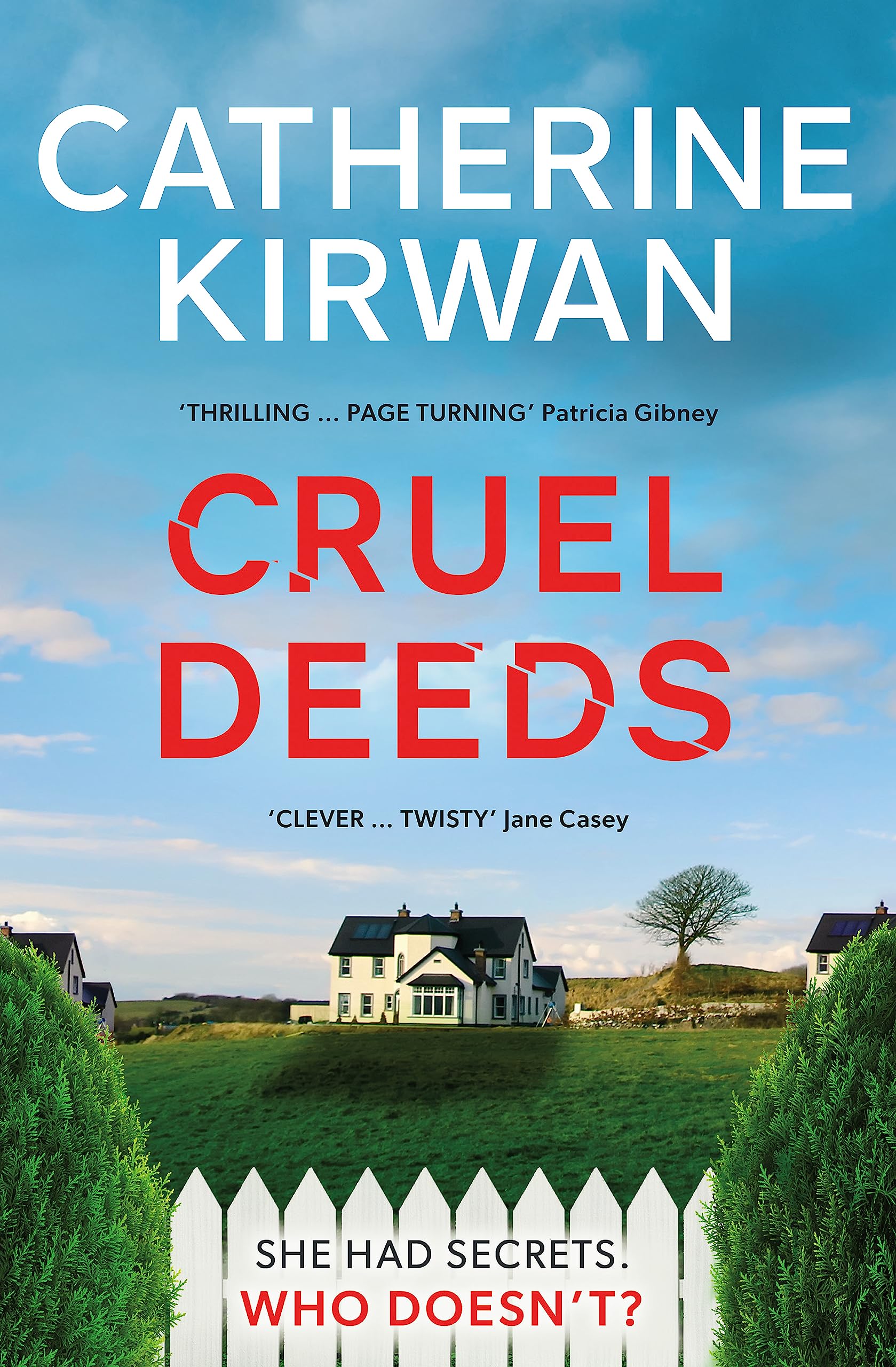 Cruel Deeds: A sharp, pacy and twist-filled thriller Contemporary literature