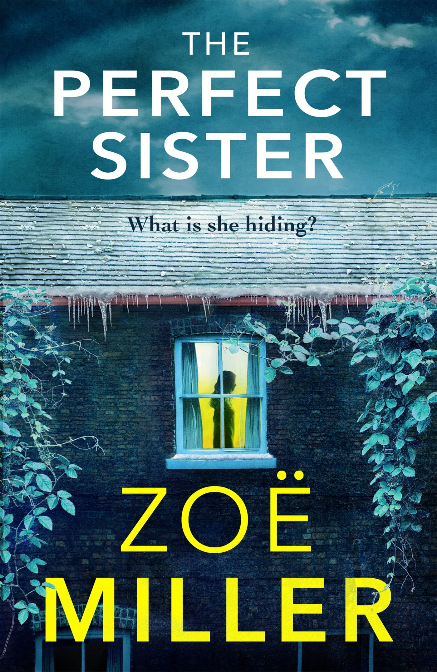 The Perfect Sister: A compelling page-turner that you won't be able to put down book