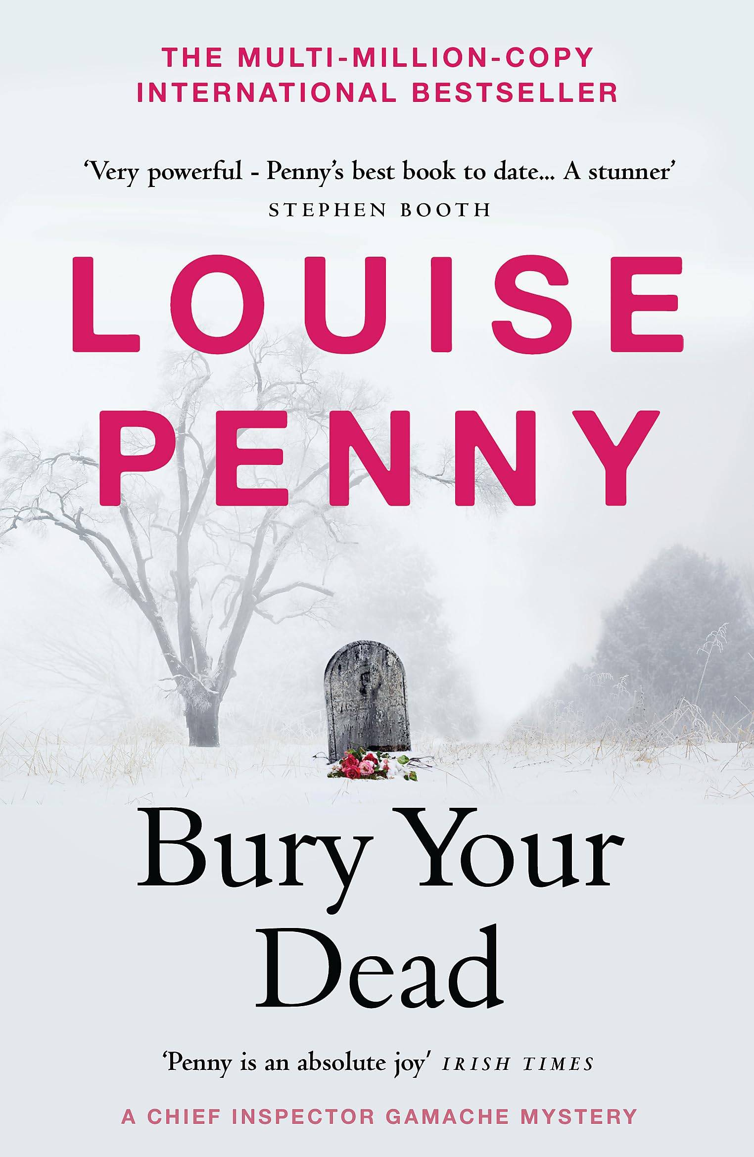Bury Your Dead Contemporary literature Books
