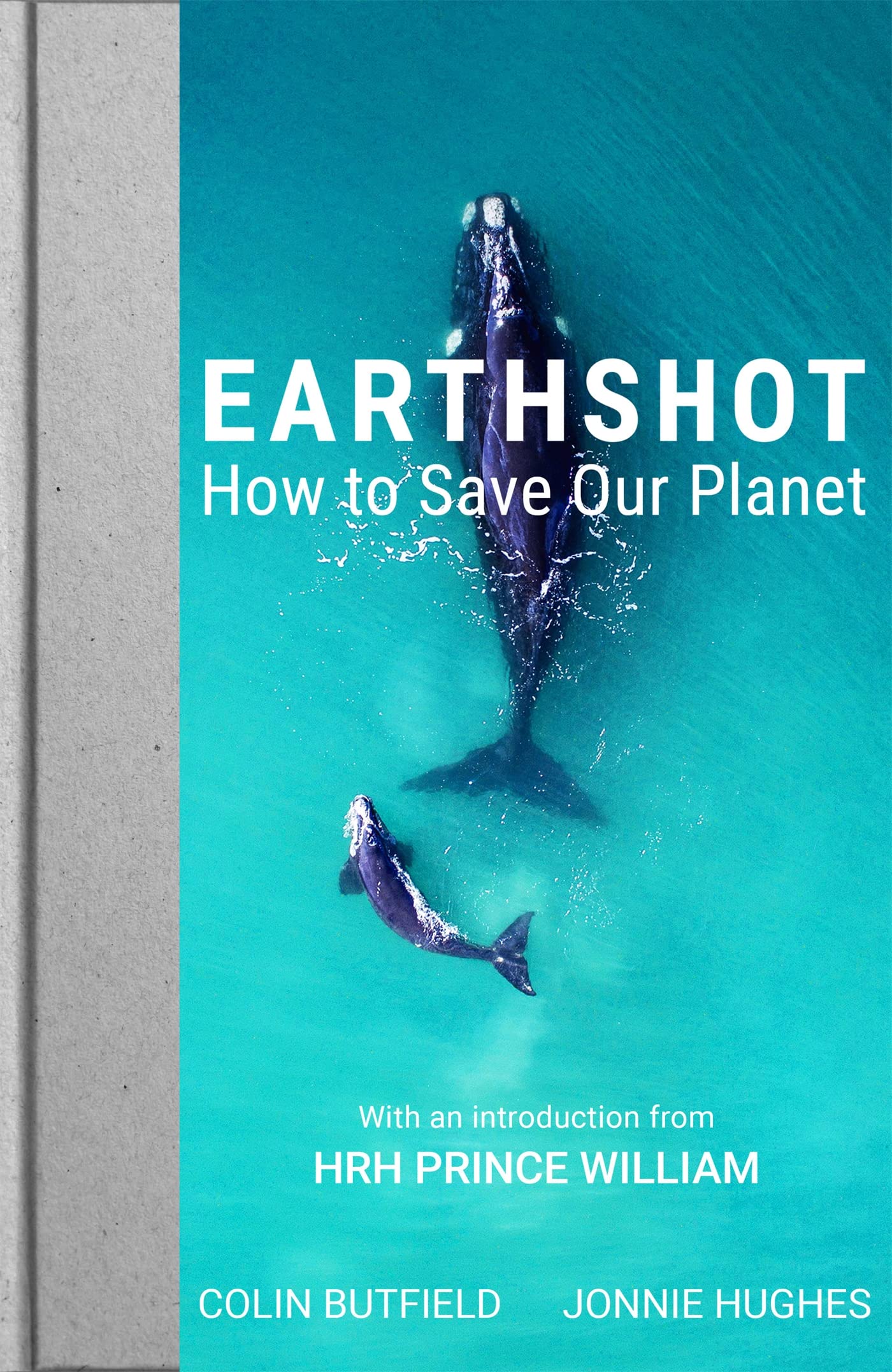 Product Image: Earthshot