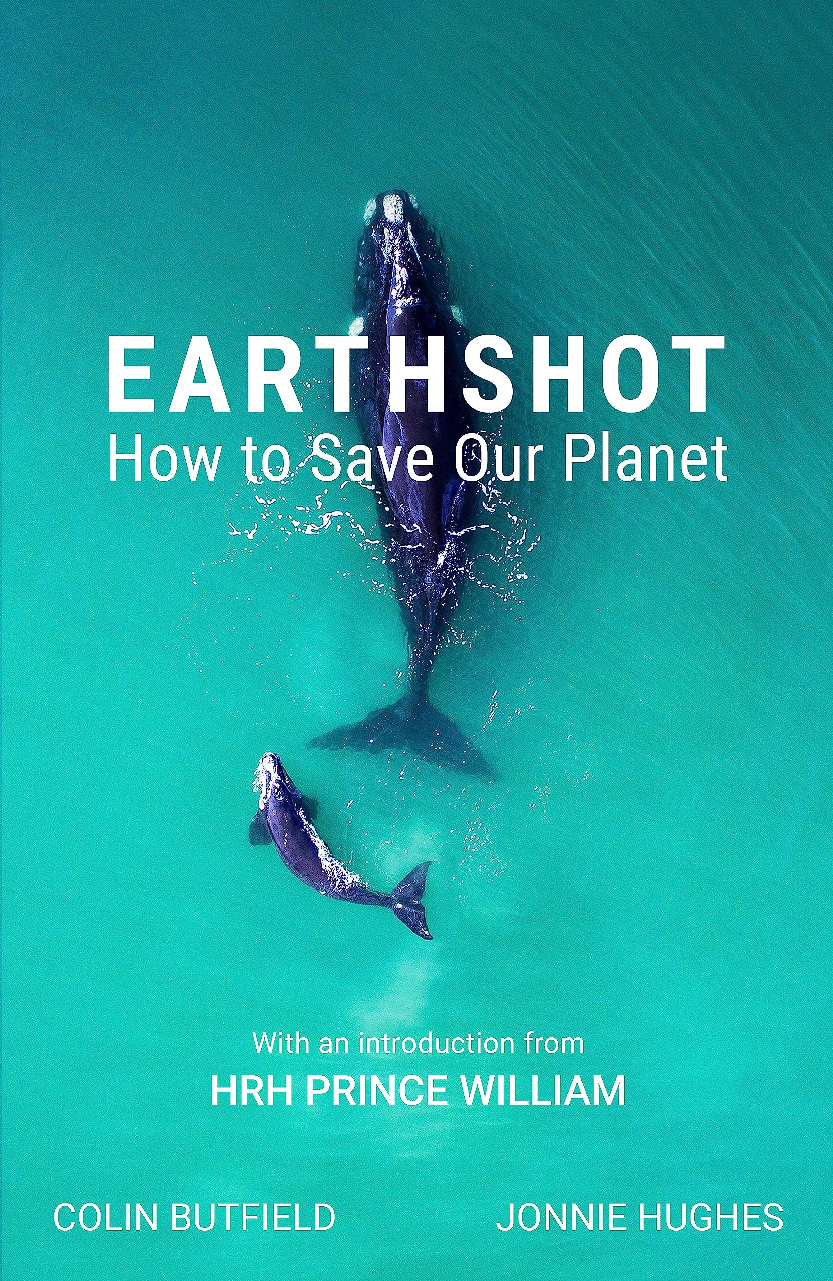 Earthshot: How to Save Our Planet Mathematics