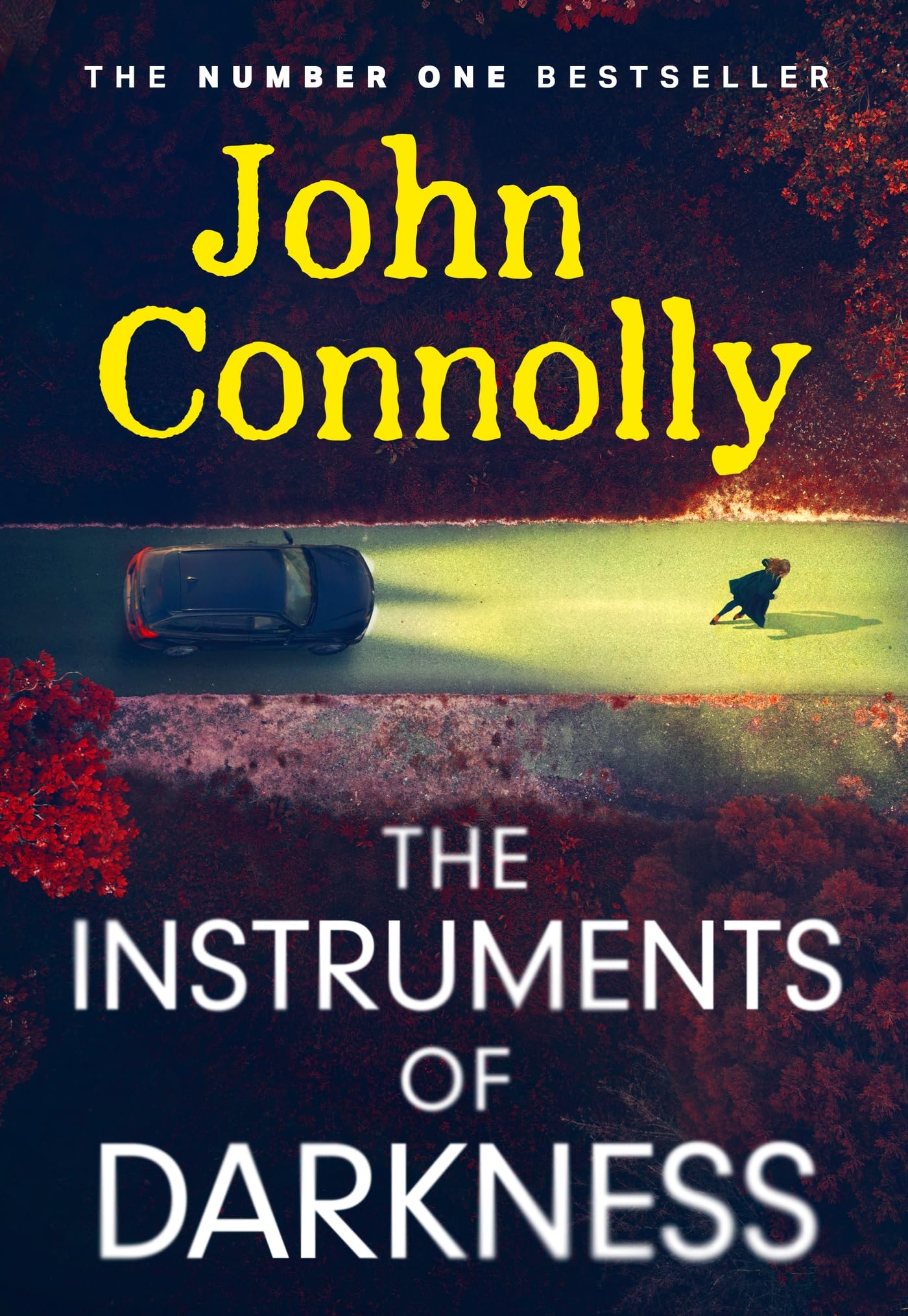 The Instruments of Darkness: A Charlie Parker Thriller Contemporary literature