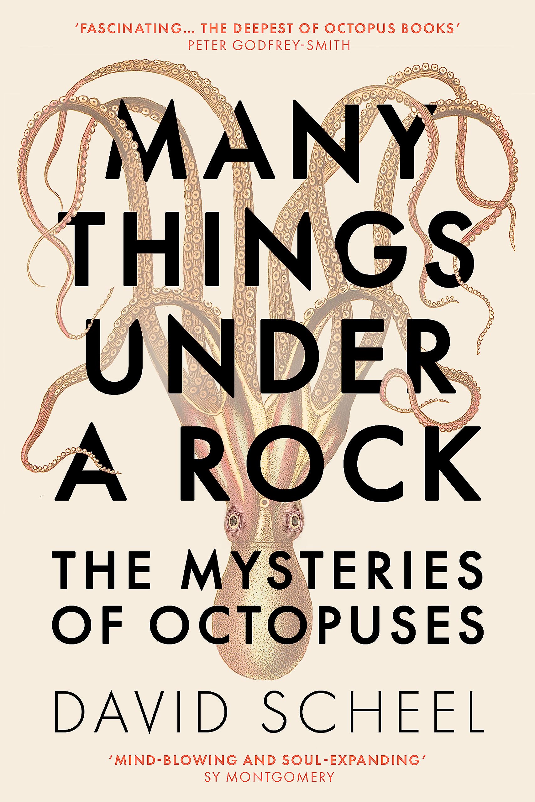 Many Things Under a Rock Leisure, Home & Garden Books