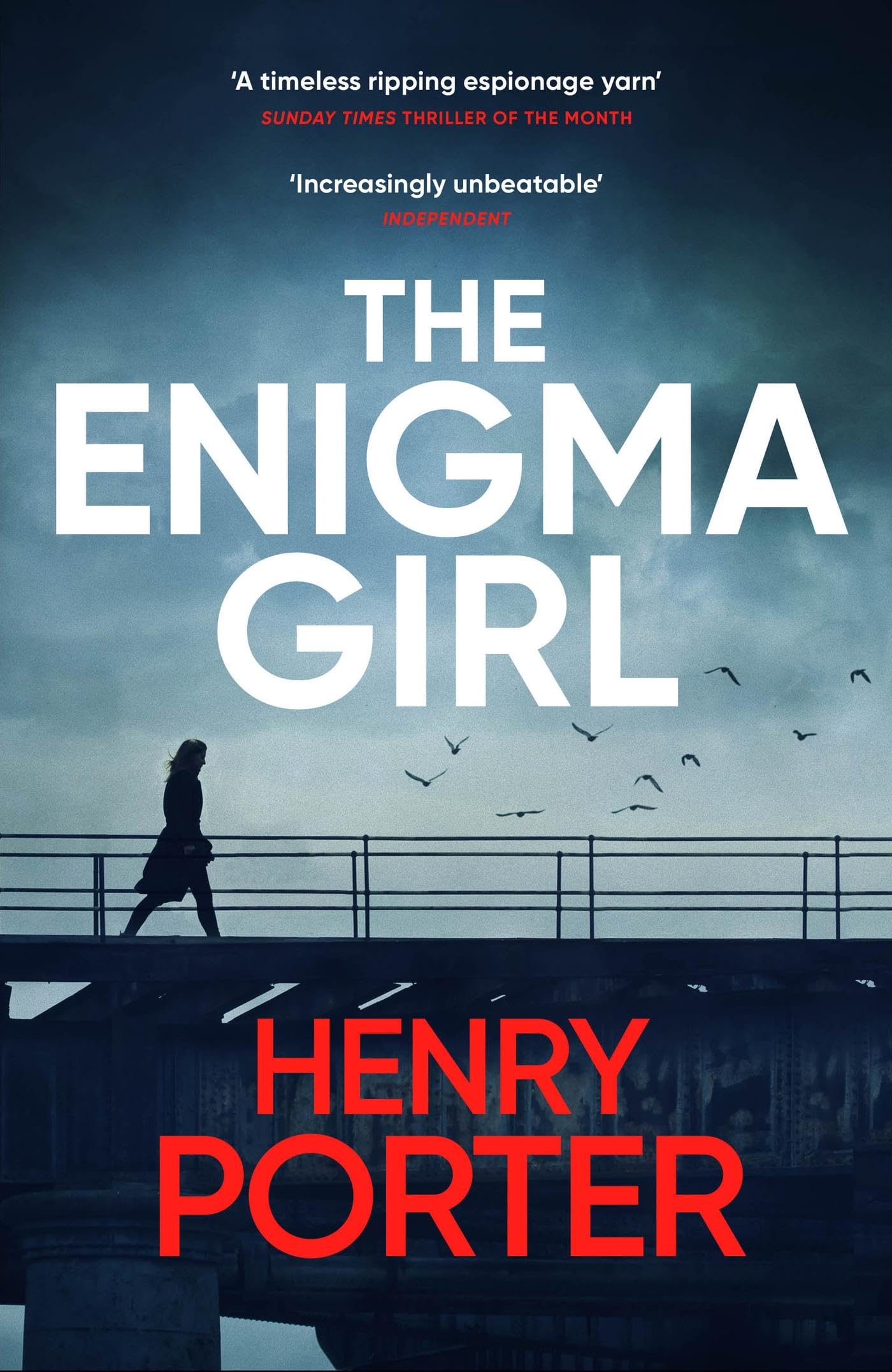 Product Image: The Enigma Girl