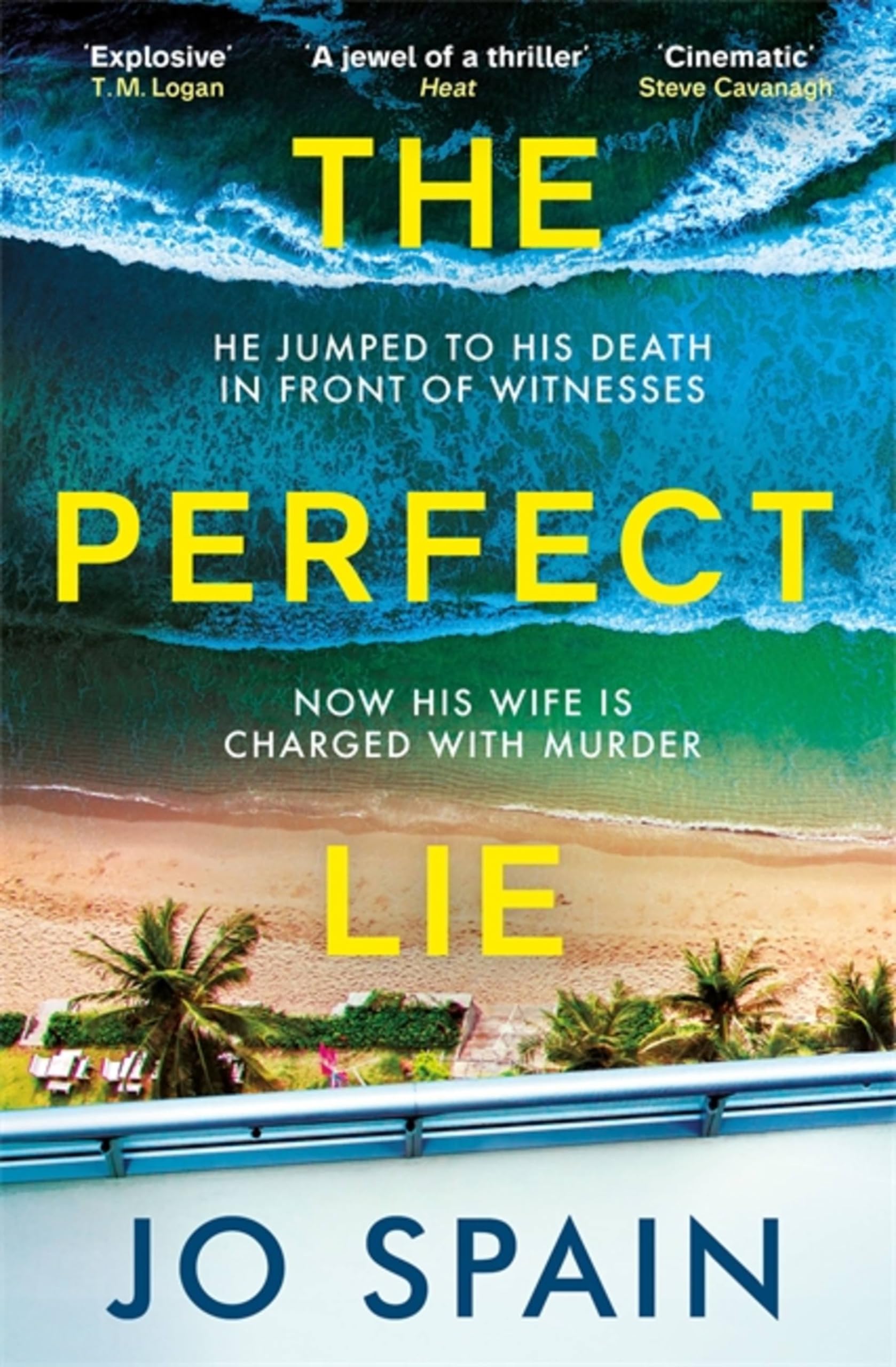 The Perfect Lie Contemporary literature Books