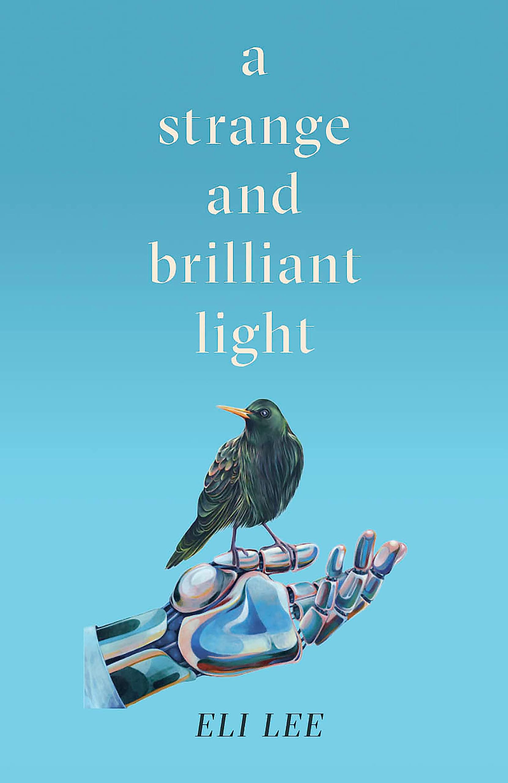 A Strange and Brilliant Light: Winner of the Writers’ Guild Best First Novel Award Contemporary literature