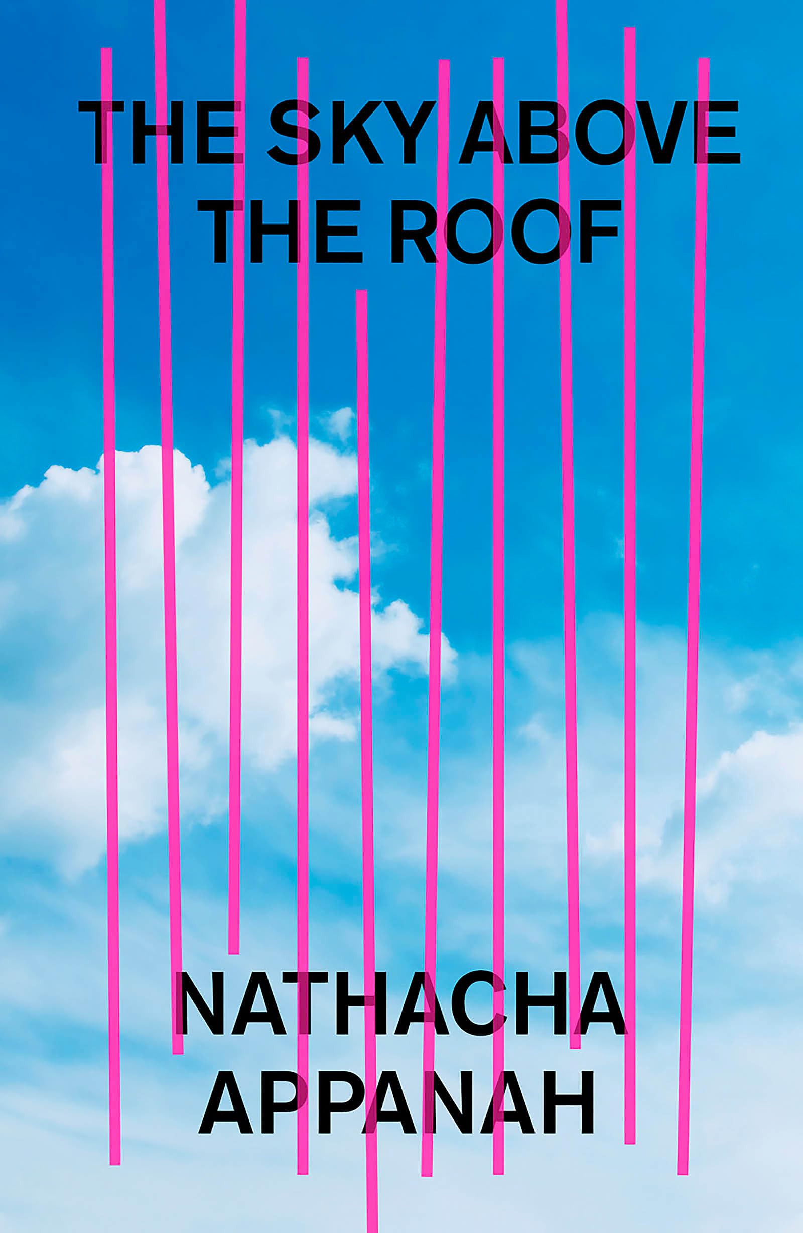 The Sky Above the Roof book