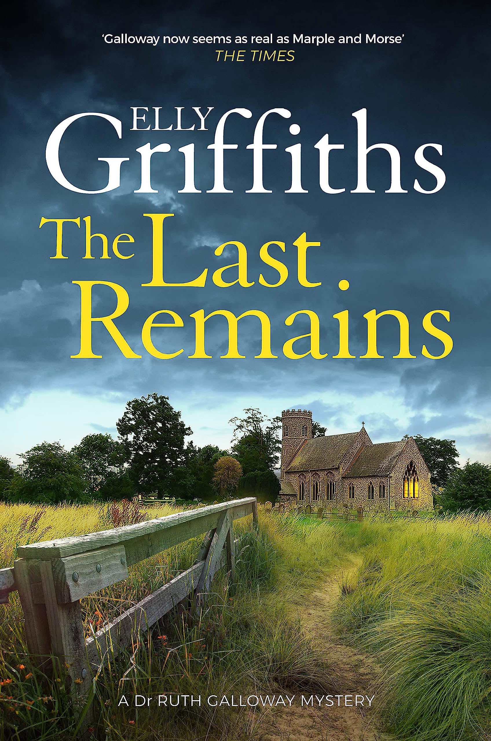 The Last Remains Contemporary literature Books
