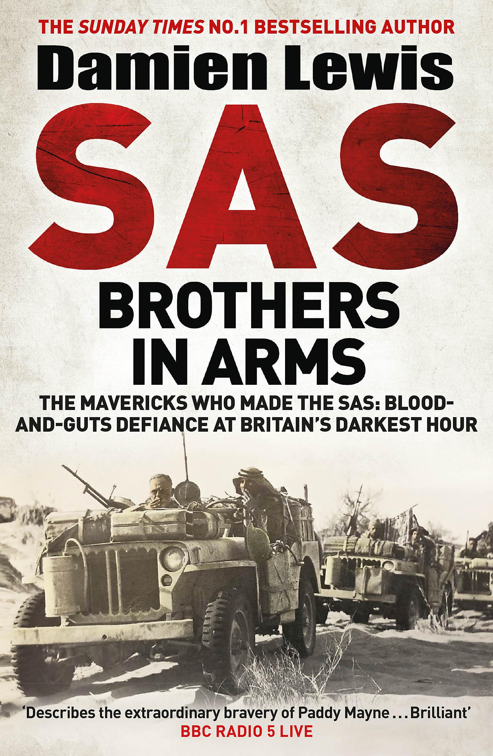 SAS Brothers in Arms Memories