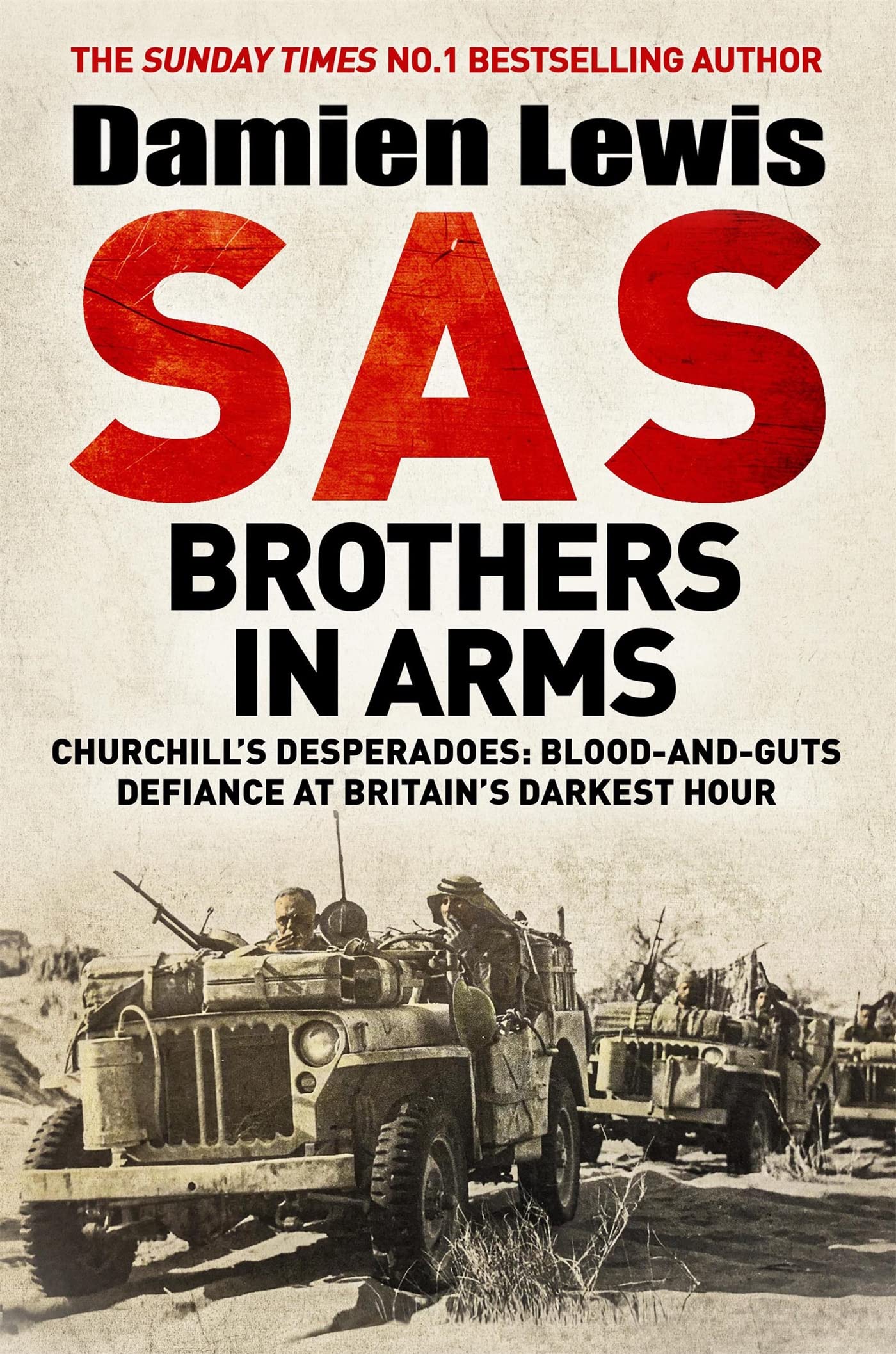 SAS Brothers in Arms Memories
