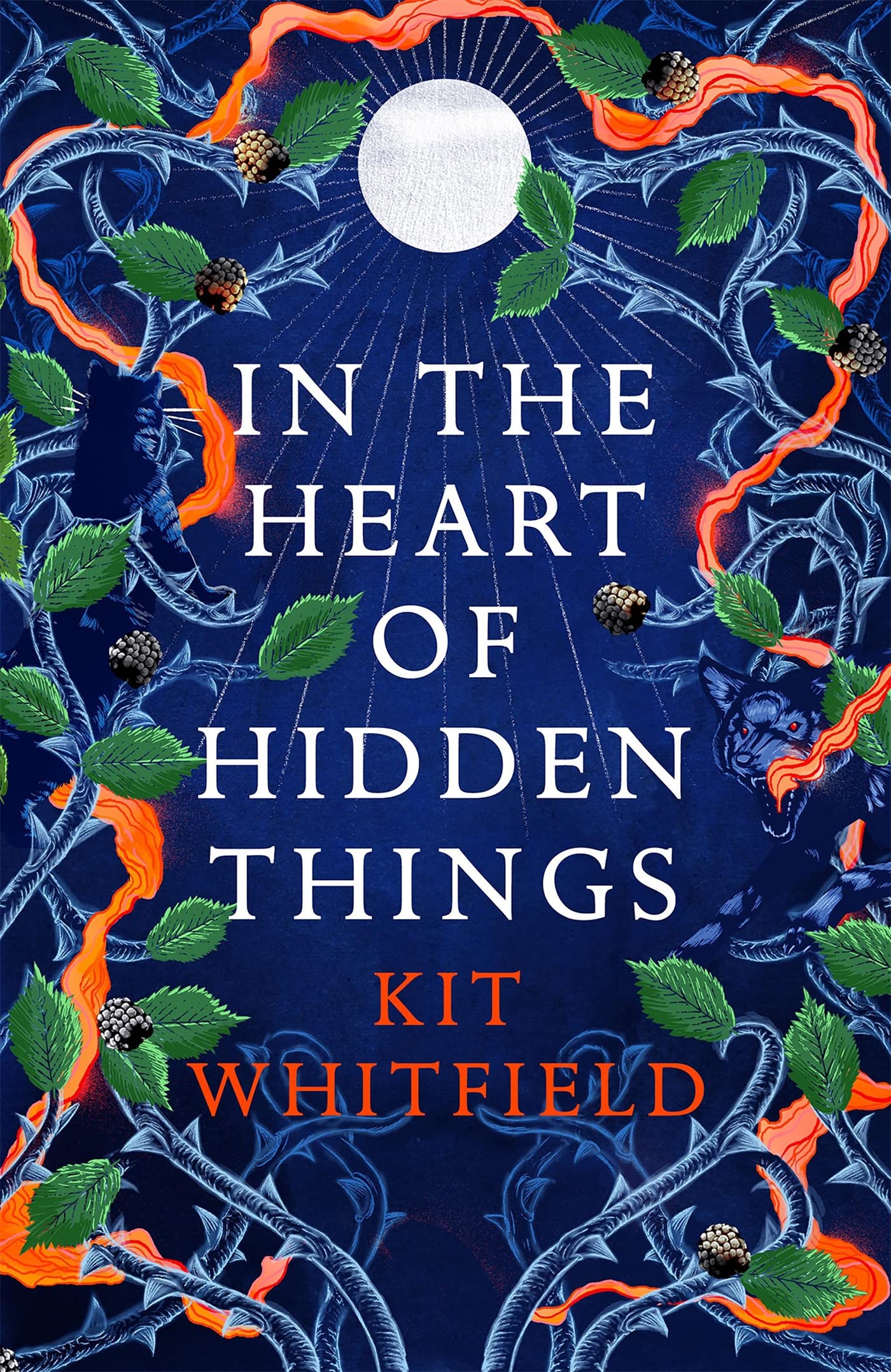In the Heart of Hidden Things book