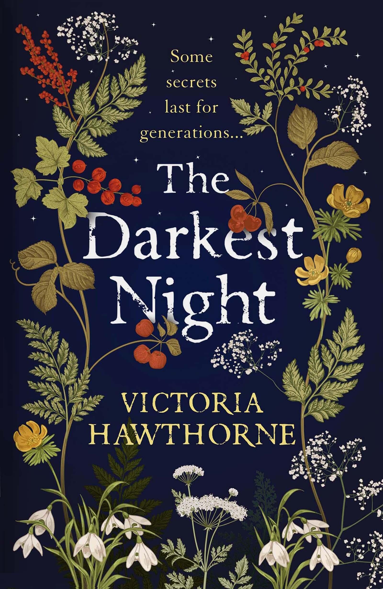 The Darkest Night: a twisty historical mystery to keep you reading through the night Contemporary literature