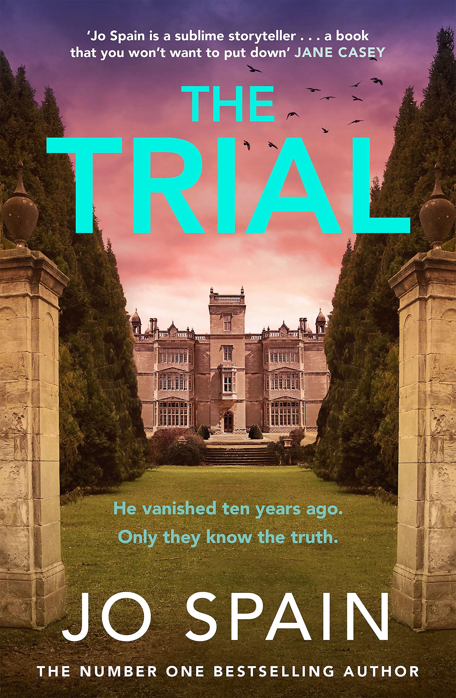 The Trial: the twisty, addictive thriller from the author of DON'T LOOK BACK Contemporary literature