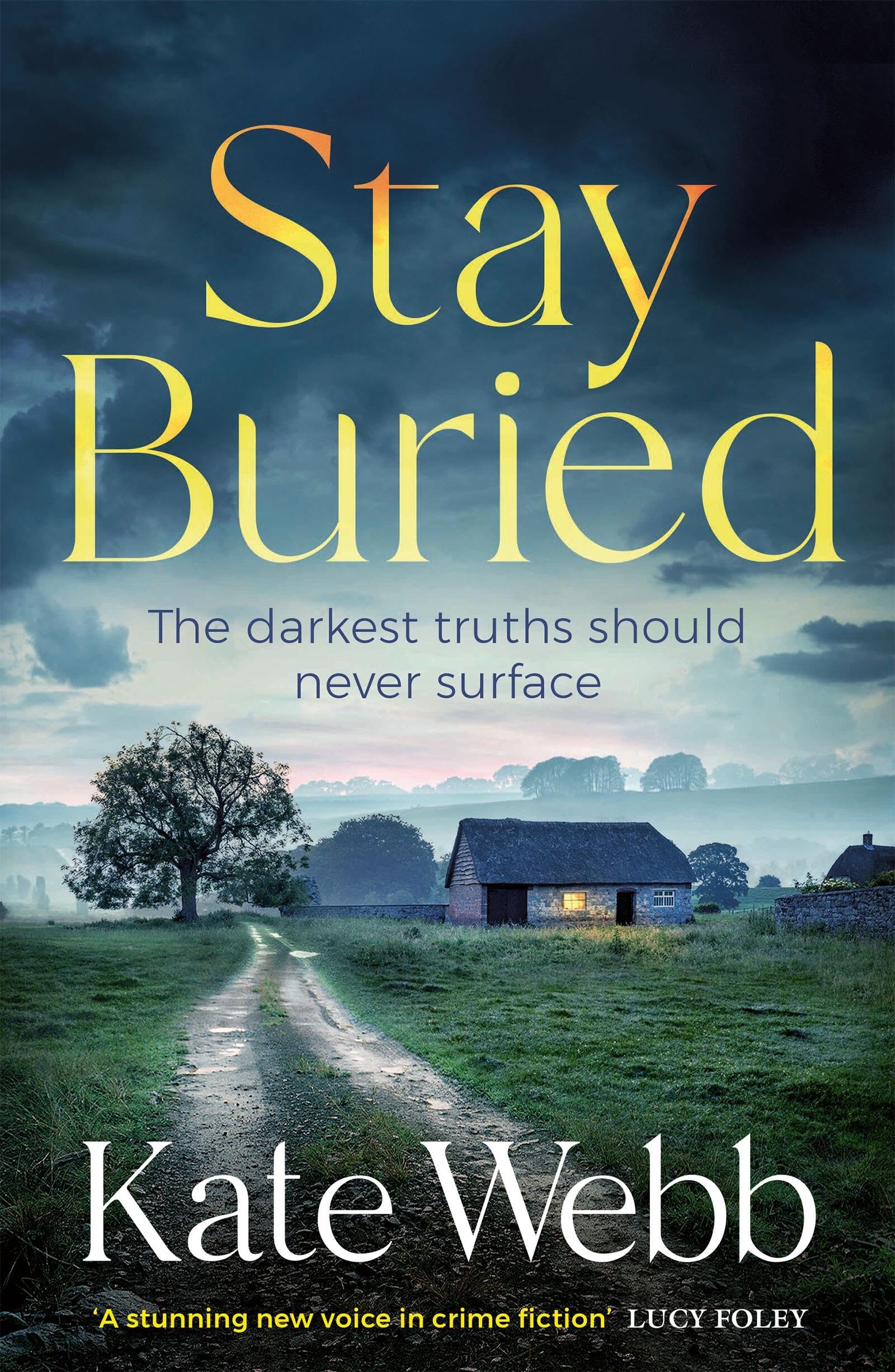 Stay Buried (The DI Lockyer Mysteries) Contemporary literature