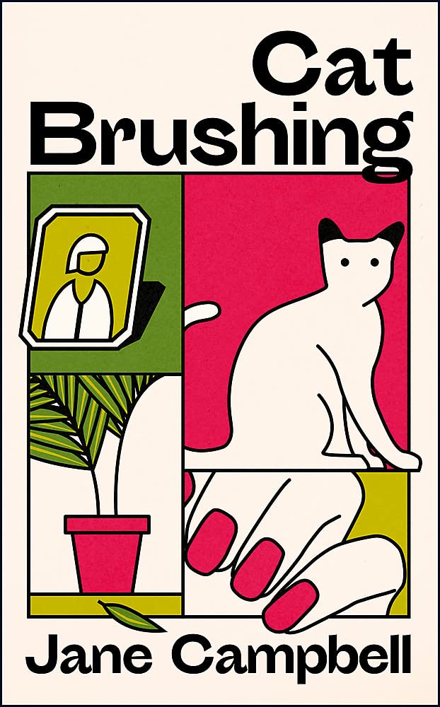Cat Brushing: a dazzling short story collection about thirteen older women Essays & Short Stories