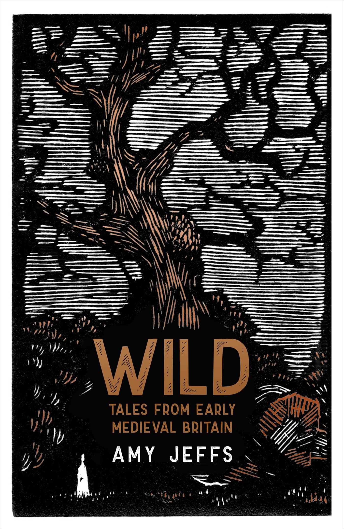 Wild: Tales from Early Medieval Britain from the Bestselling author of Storyland Books