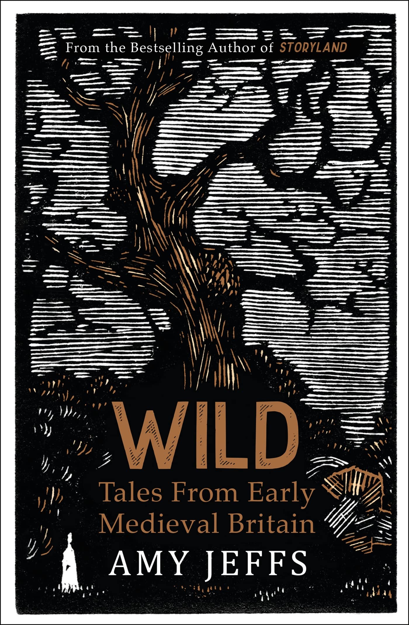 Wild: Tales from Early Medieval Britain from the Bestselling author of Storyland Books
