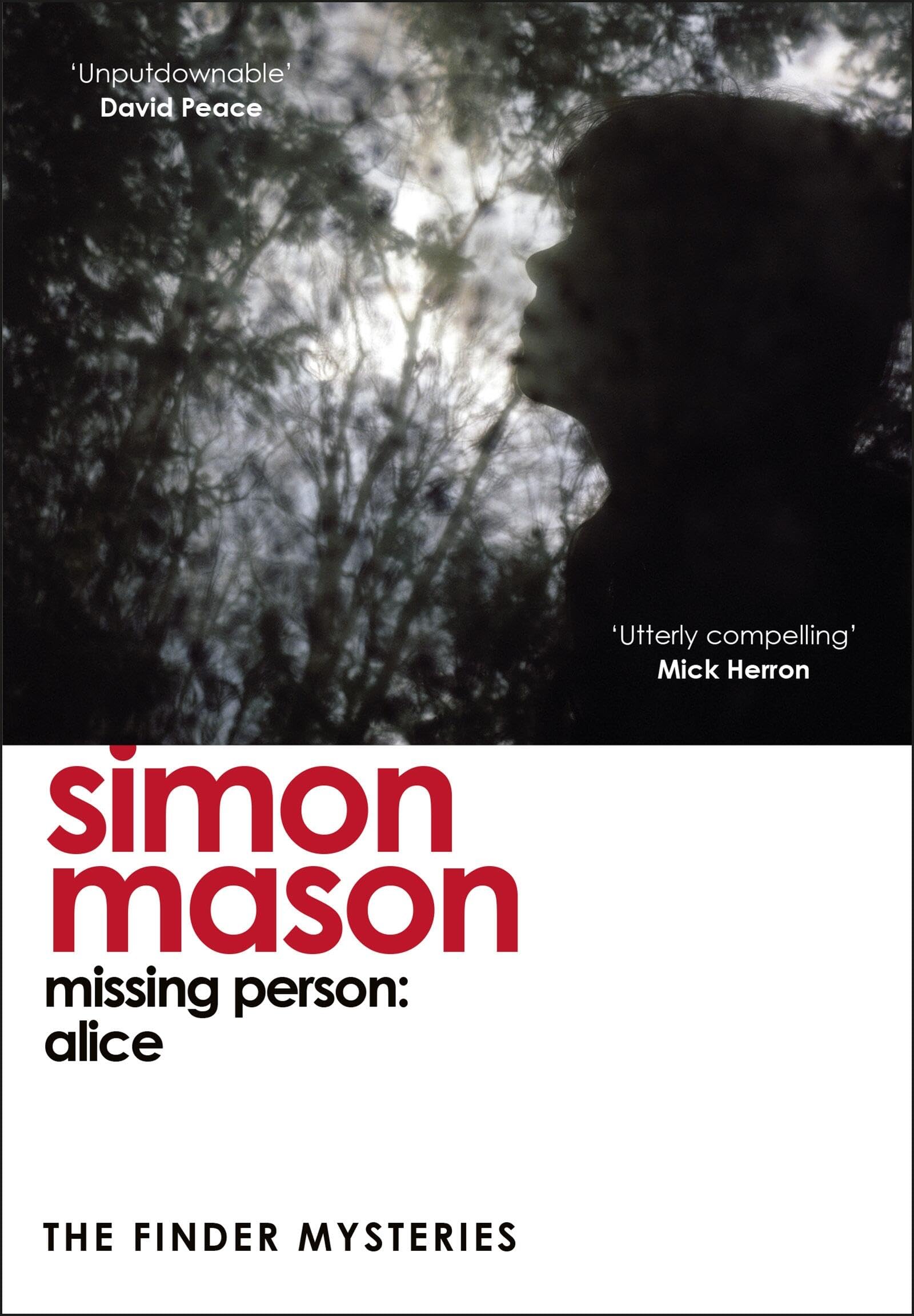 Missing Person: Alice Contemporary literature