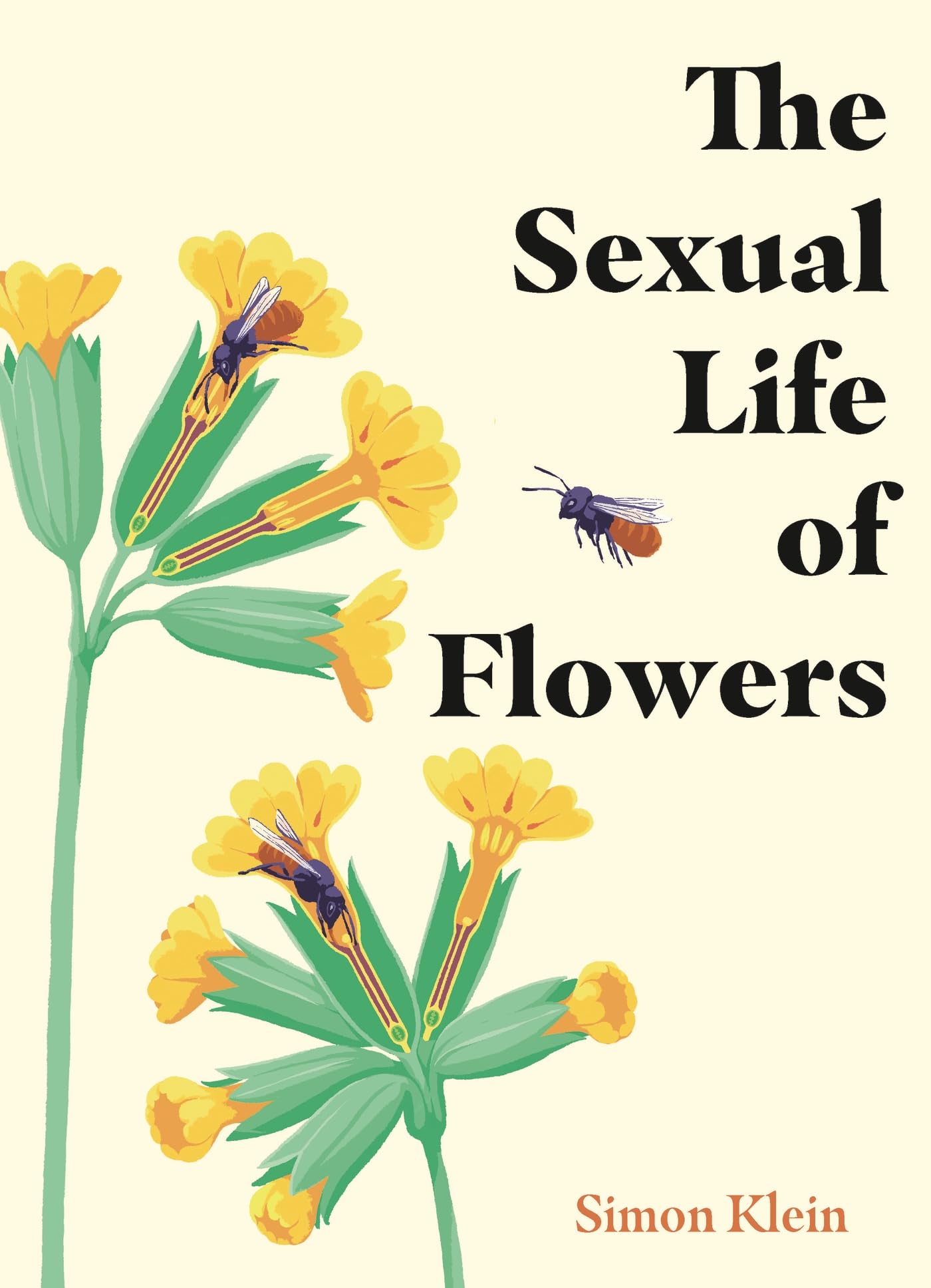 The Sexual Life of Flowers Mathematics