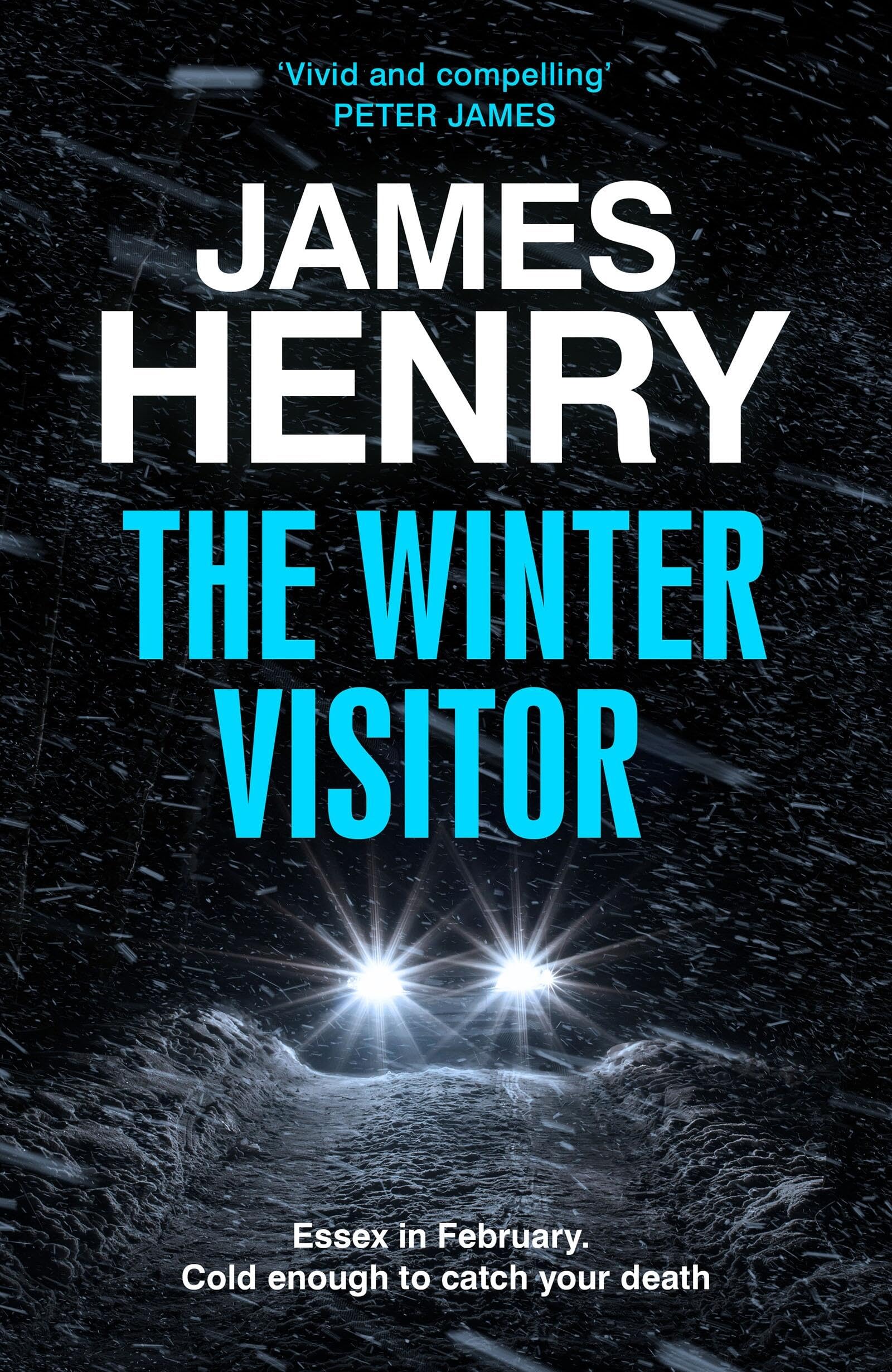 The Winter Visitor: the explosive new thriller set in the badlands of Essex Contemporary literature