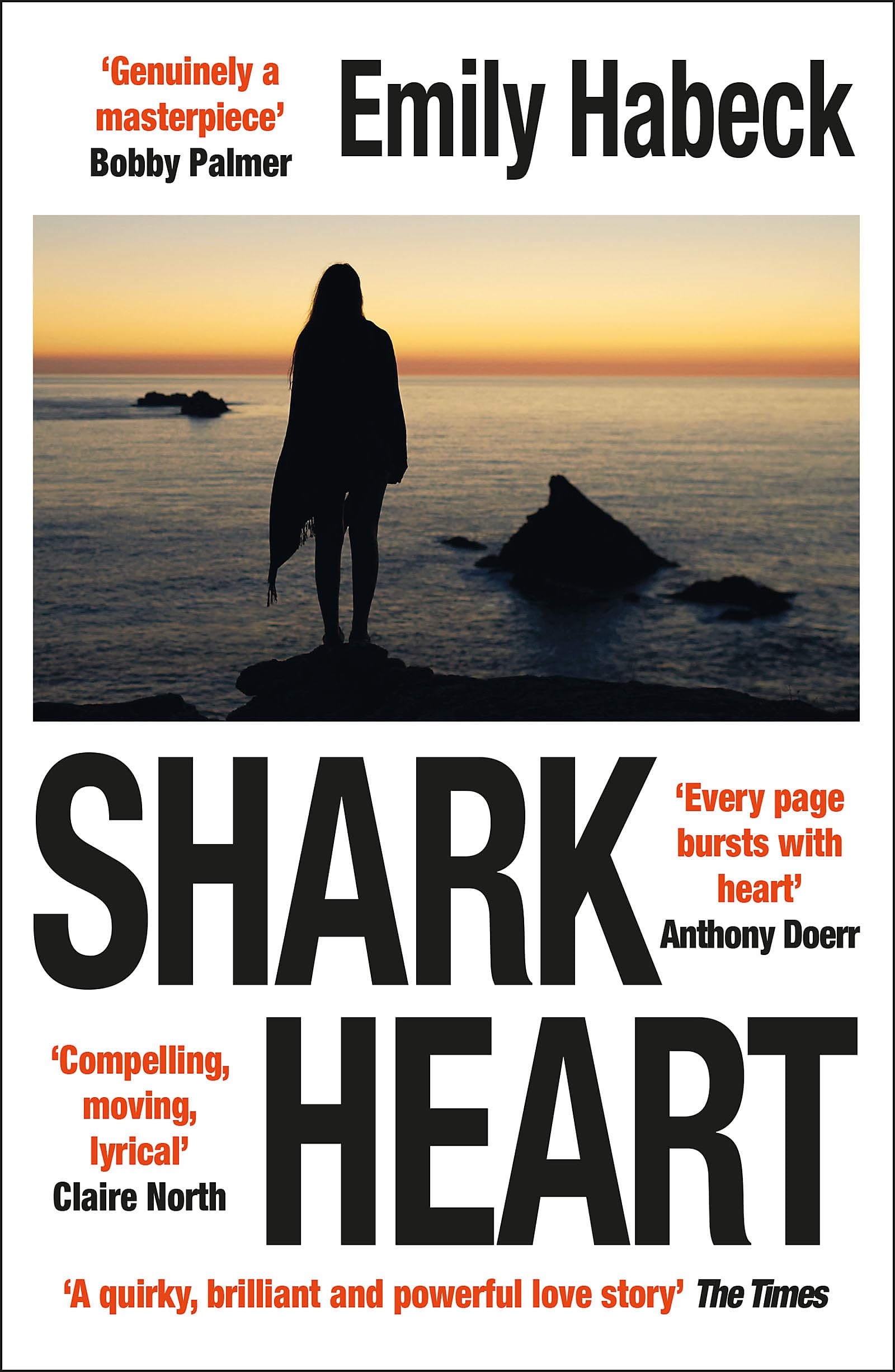 Shark Heart: 'A fantastical, original and beautifully written novel' ANTHONY DOERR Contemporary literature
