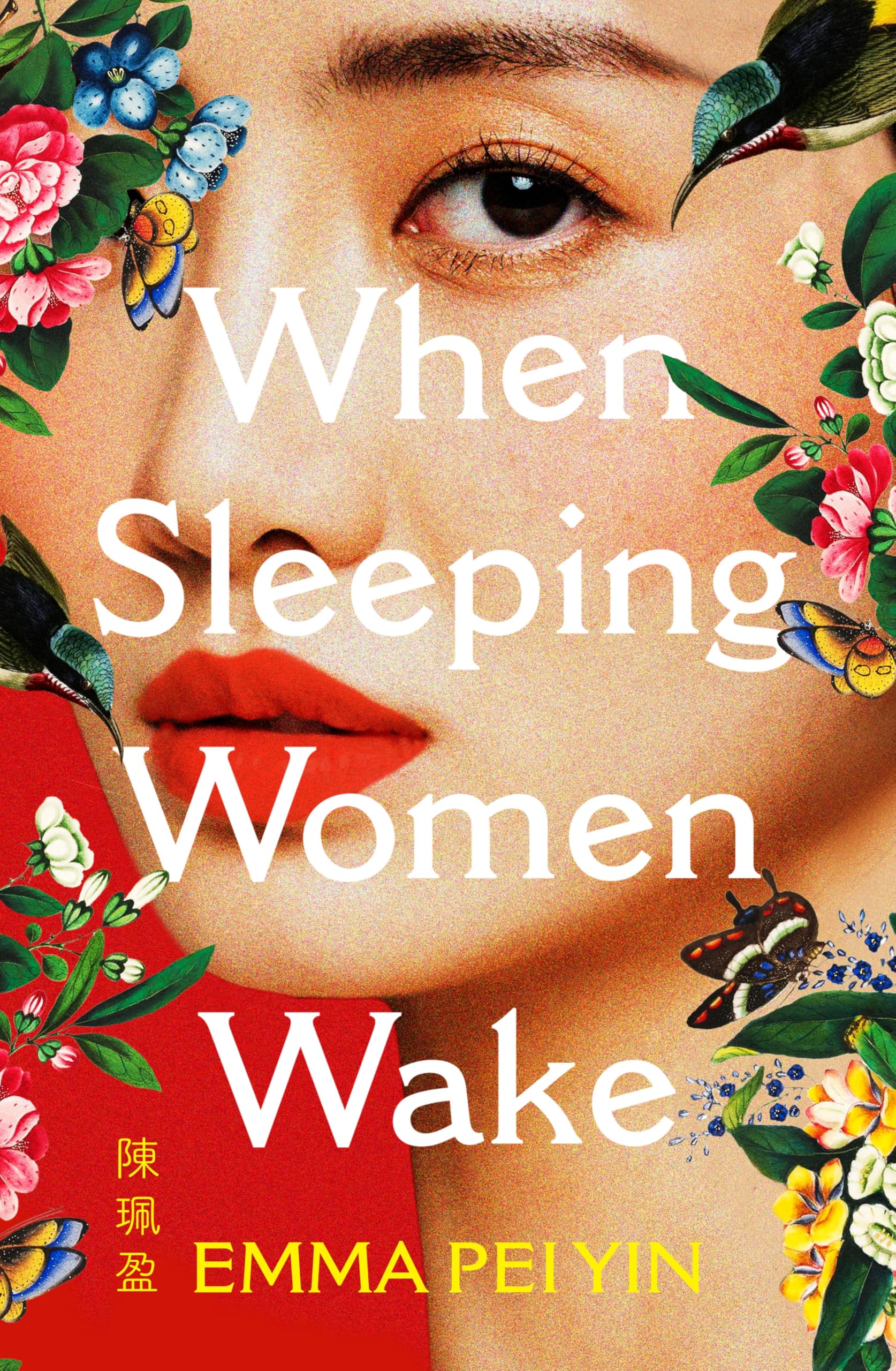When Sleeping Women Wake: a sweeping historical WW2 novel with female resistance at its heart Historical Fiction