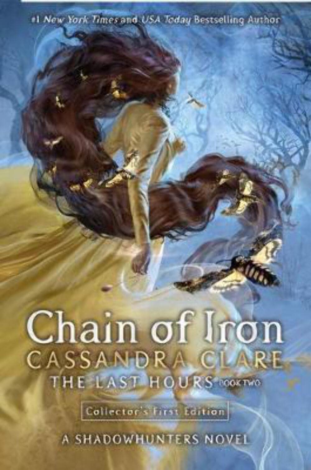 The Last Hours: Chain of Iron book