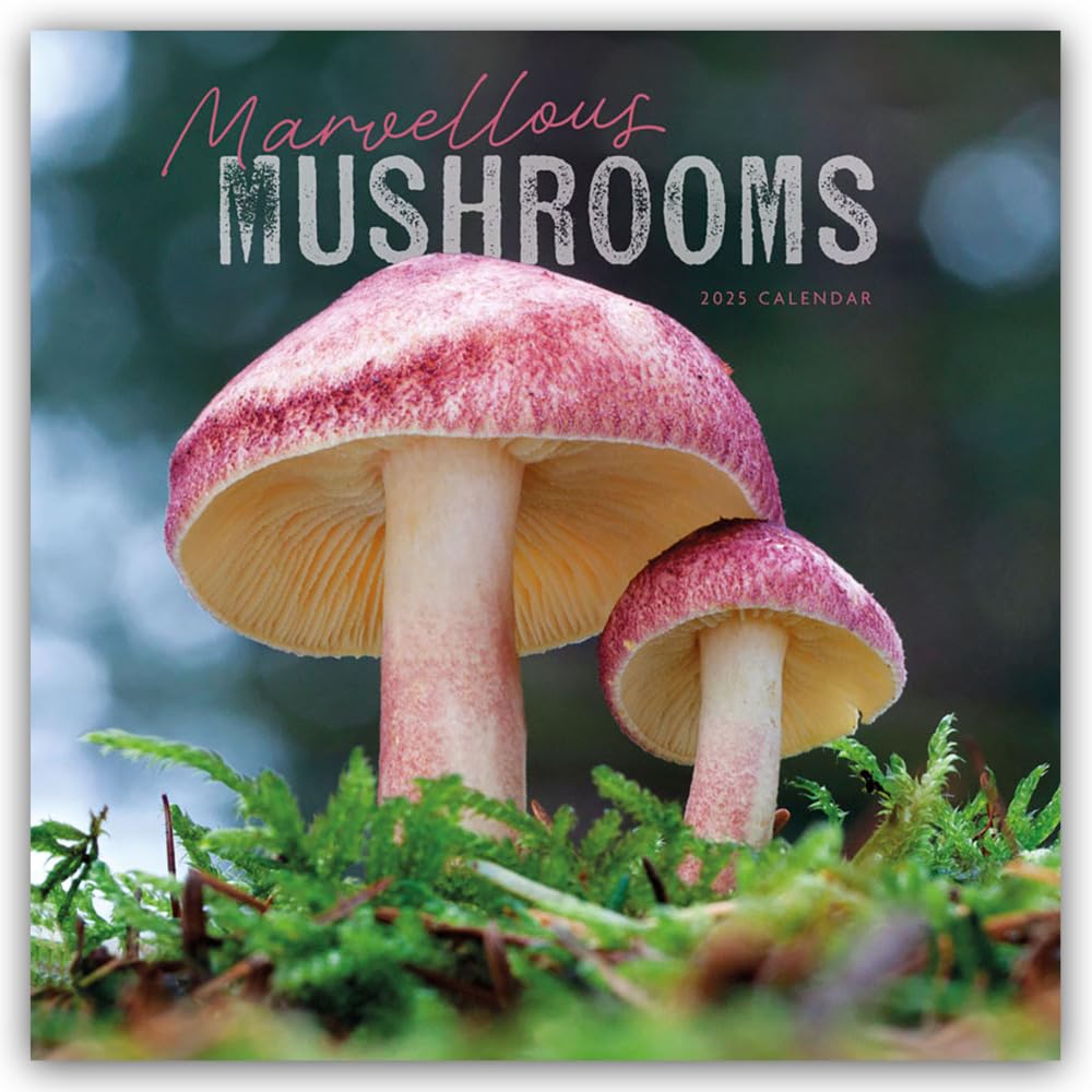 Mushrooms – Pilze 2025 – Wand-Kalender: Original Carousel-Kalender (Wall-Kalender) Leisure, Home & Garden