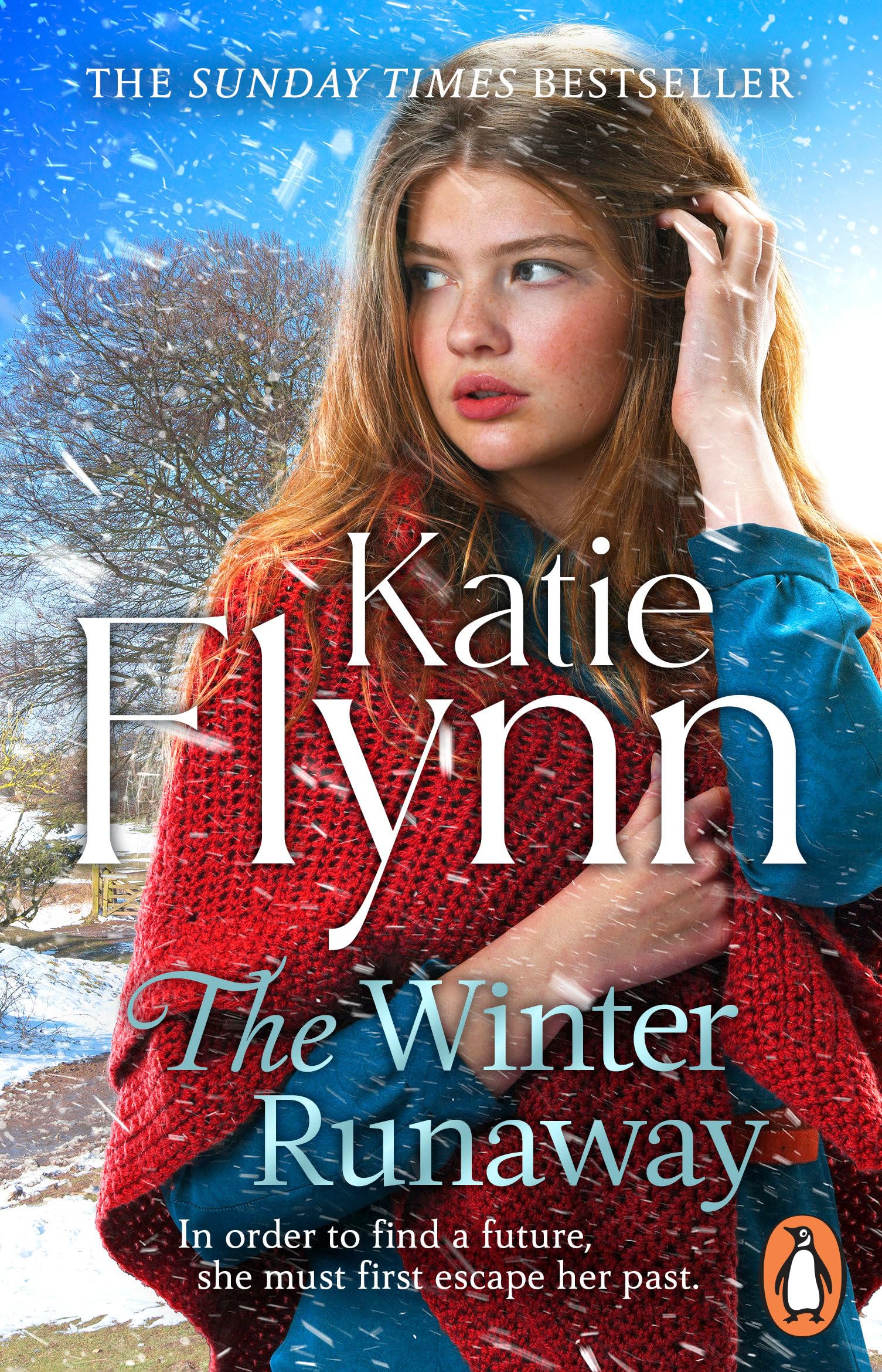 The Winter Runaway: The brand new historical romance novel from the Sunday Times bestselling author Historical Fiction