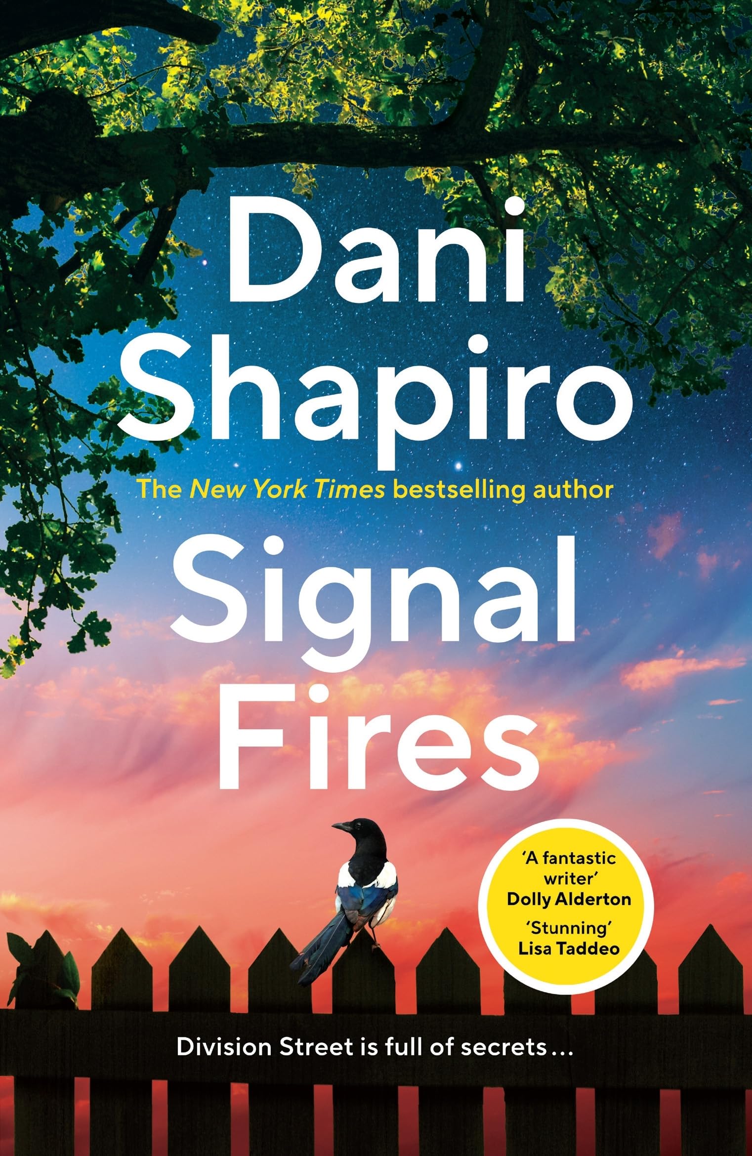 Signal Fires Contemporary literature Books