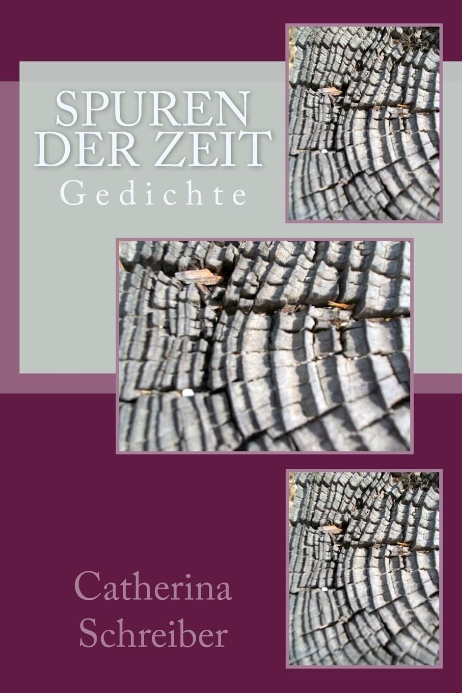 Spuren der Zeit: Gedichte Poetry