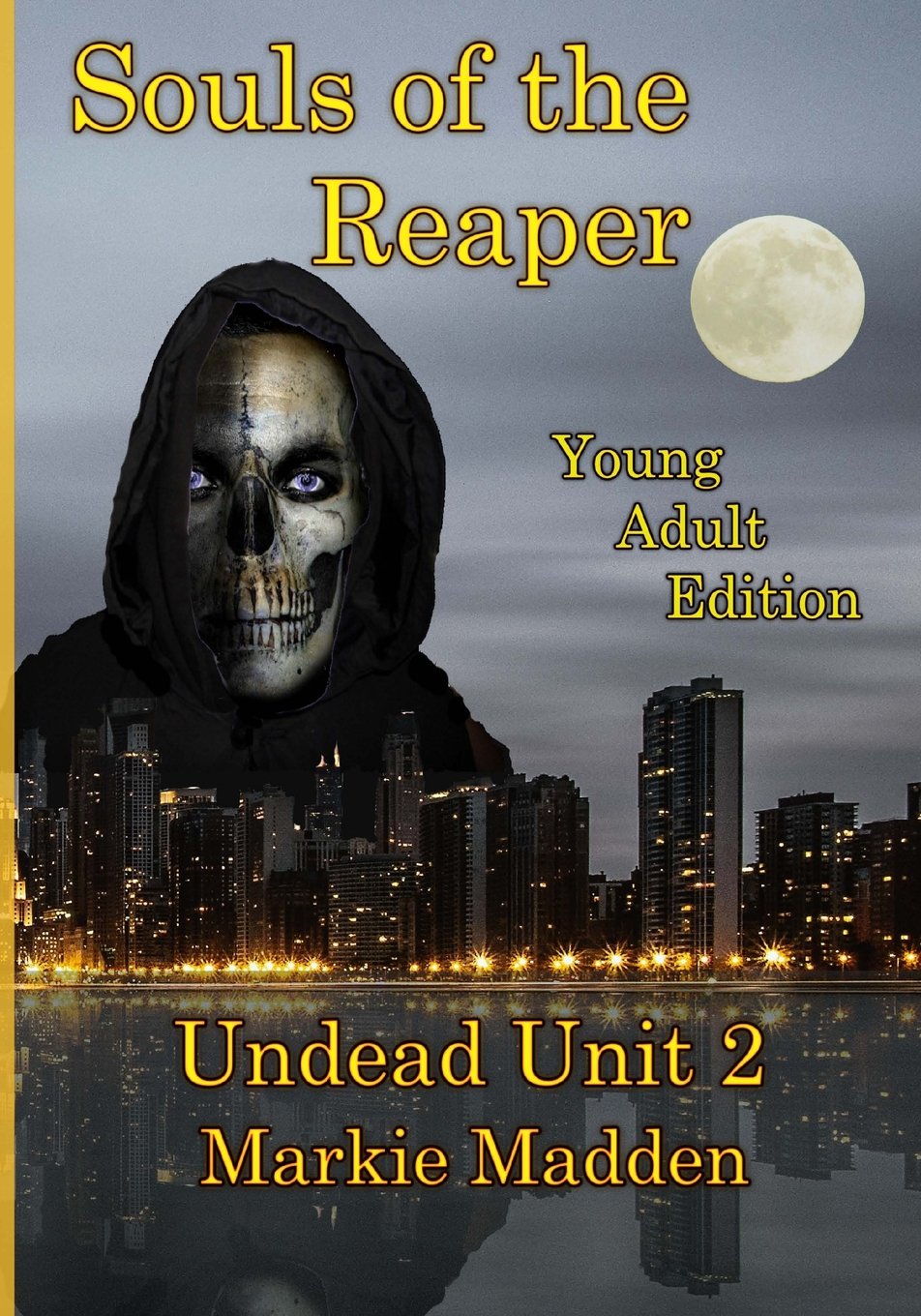 Souls of the Reaper (YA) book