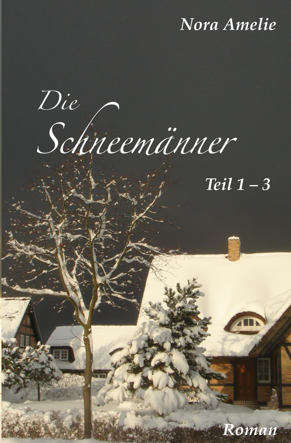 Die Schneemänner (Schneemänner-Reihe, Band 1) Action & Adventure