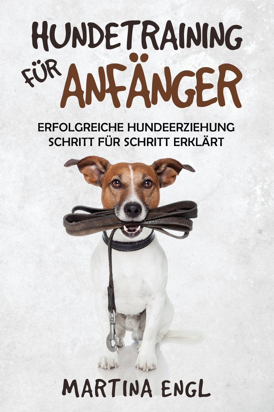 Hundetraining für Anfänger: Erfolgreiche Hundeerziehung Schritt für Schritt erklärt für eine harmonische Beziehung zwischen Mensch und Vierbeiner book