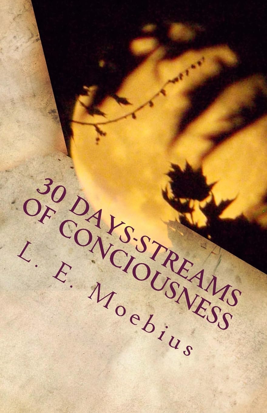 30 Days-Streams of Conciousness (Streams of Consciousness, Band 1) Essays & Short Stories