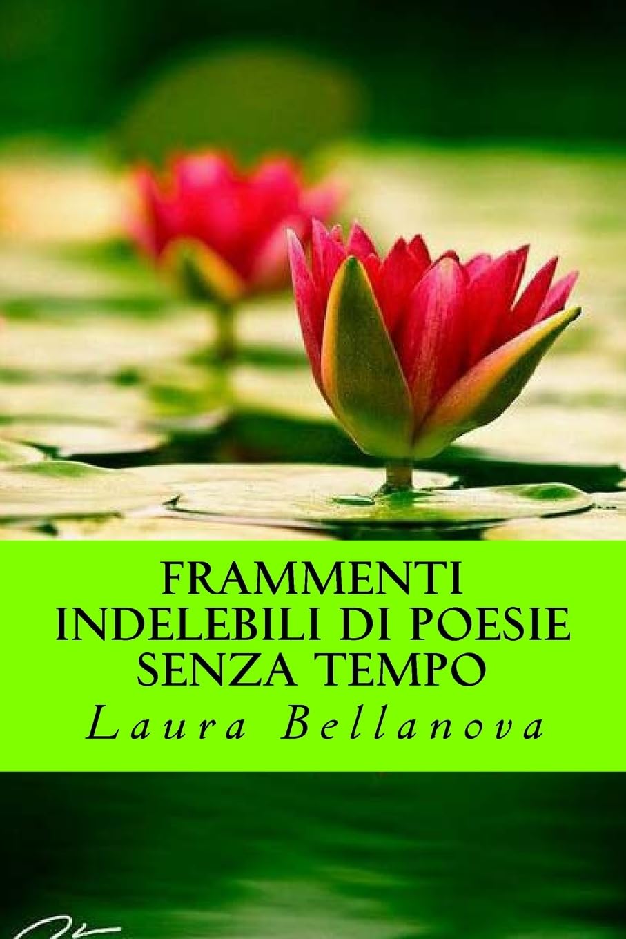 Frammenti indelebili di poesie senza tempo Poetry