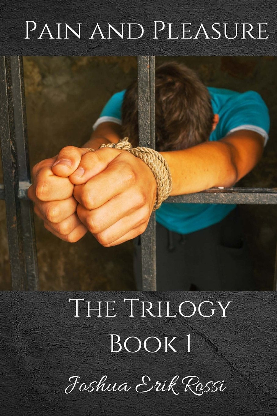 Pain and Pleasure: The Trilogy Book 1 Action & Adventure