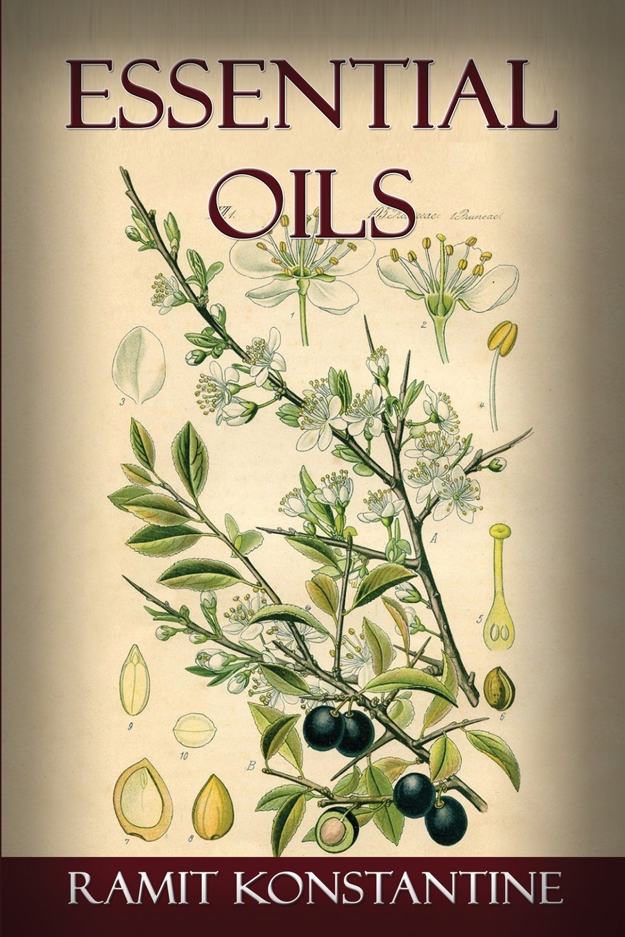 Essential Oils: A Complete Guide to Healing With Natural Herbal Remedies, Alternative Therapies, and Using Essential Oils For Beauty, Essential Oils For Stress and Weight Loss book