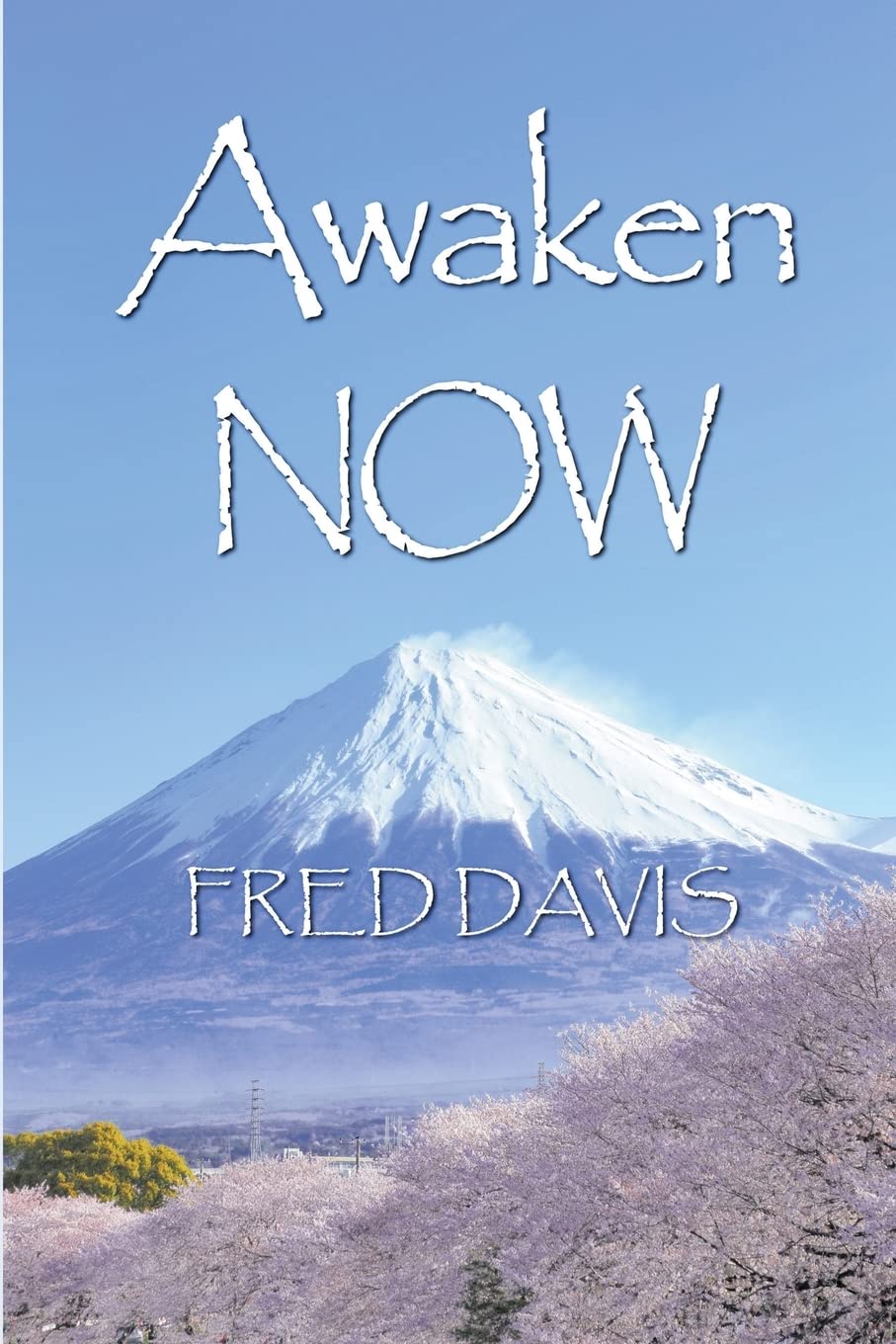 Awaken NOW: The Living Method of Spiritual Awakening Philosophy