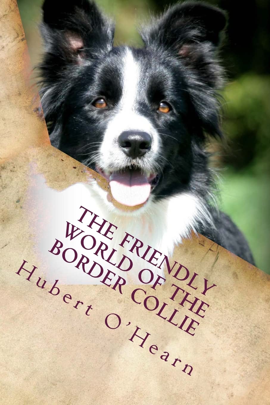The Friendly World of the Border Collie: Inside the Minds of the Smartest Dogs in the World Pets
