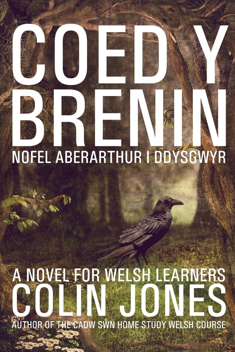 Coed y Brenin: A novel for Welsh learners book